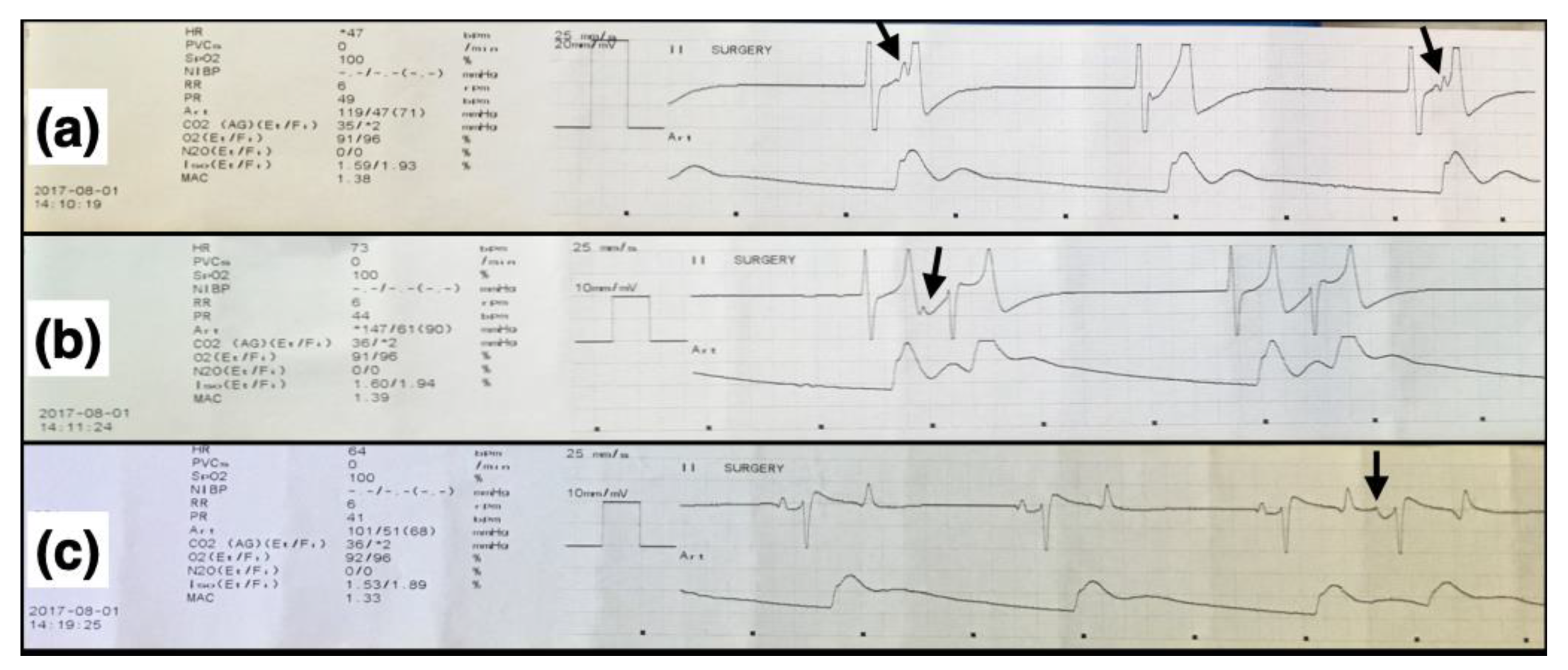 Animals 12 00353 g004 Animals 12 00353 g004