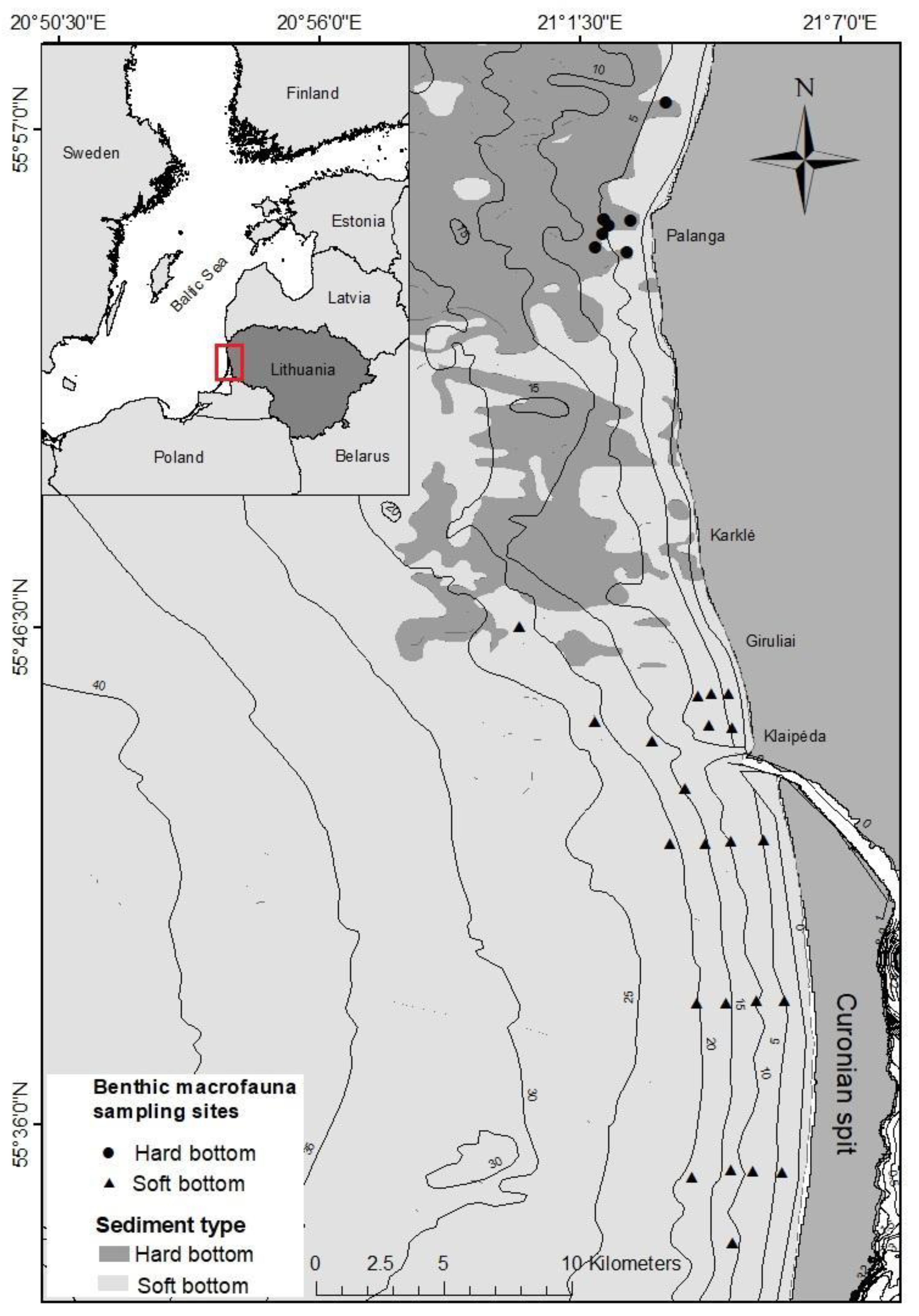 Animals 12 00355 g001