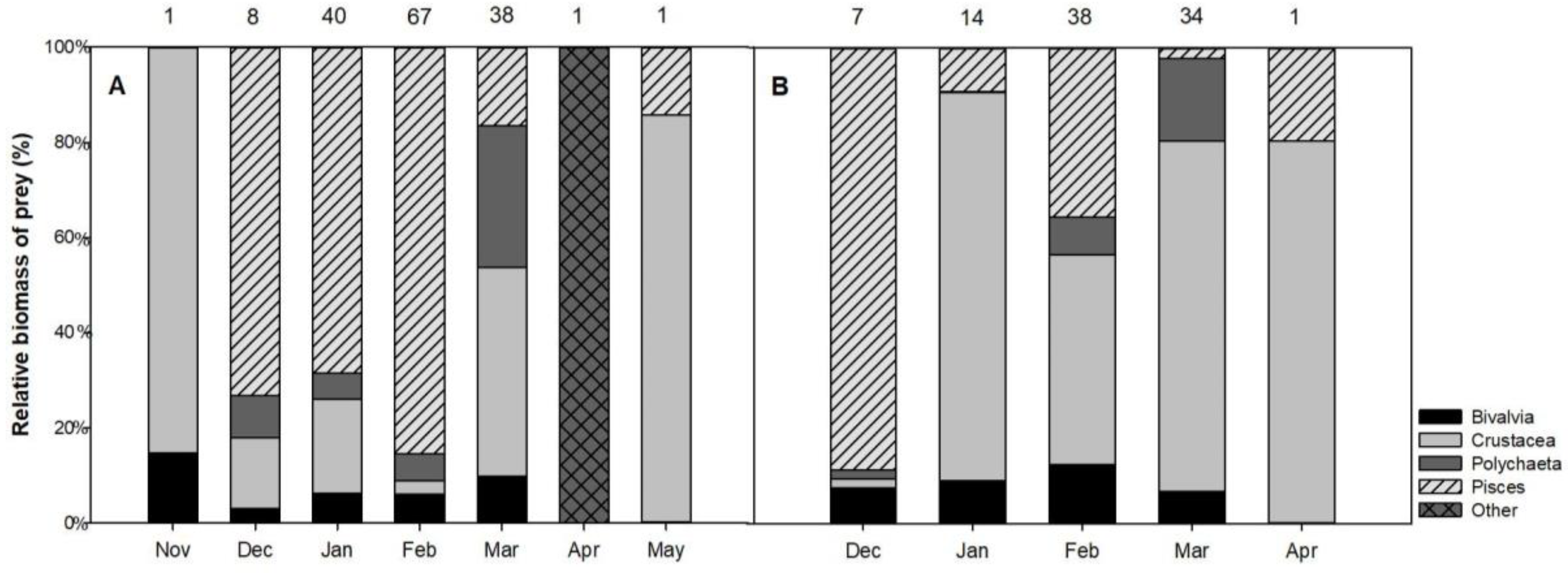 Animals 12 00355 g003