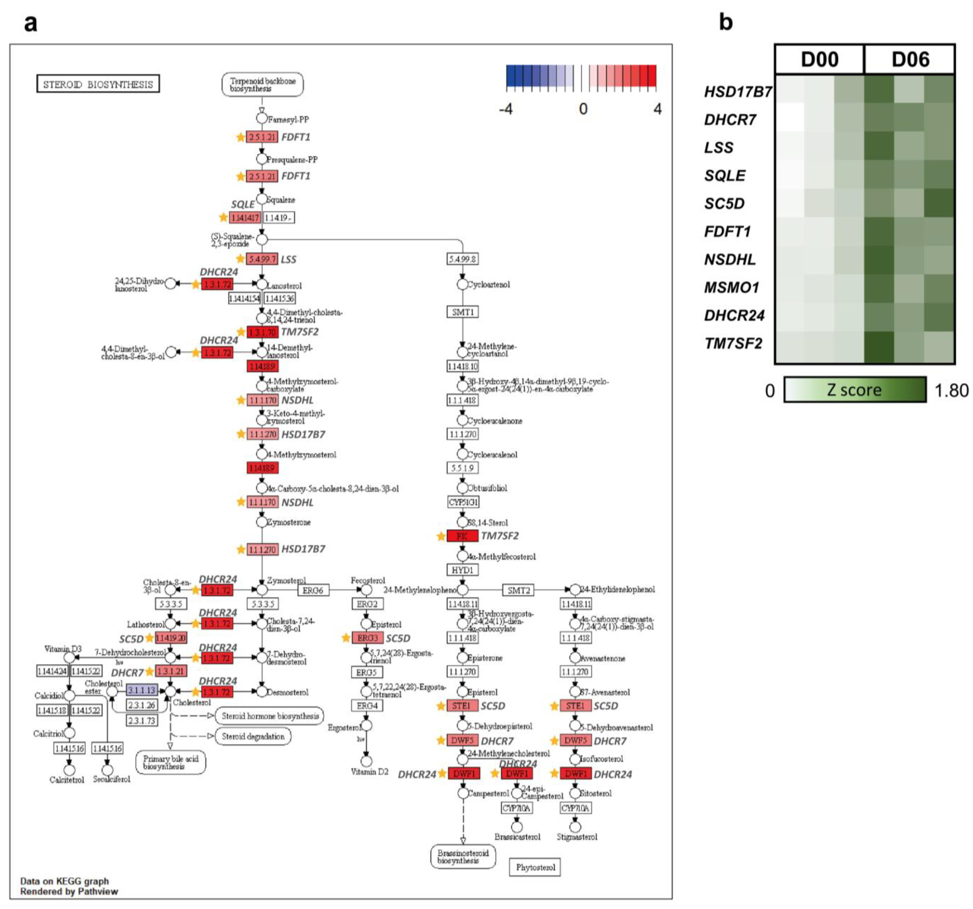 Animals 12 00376 g004