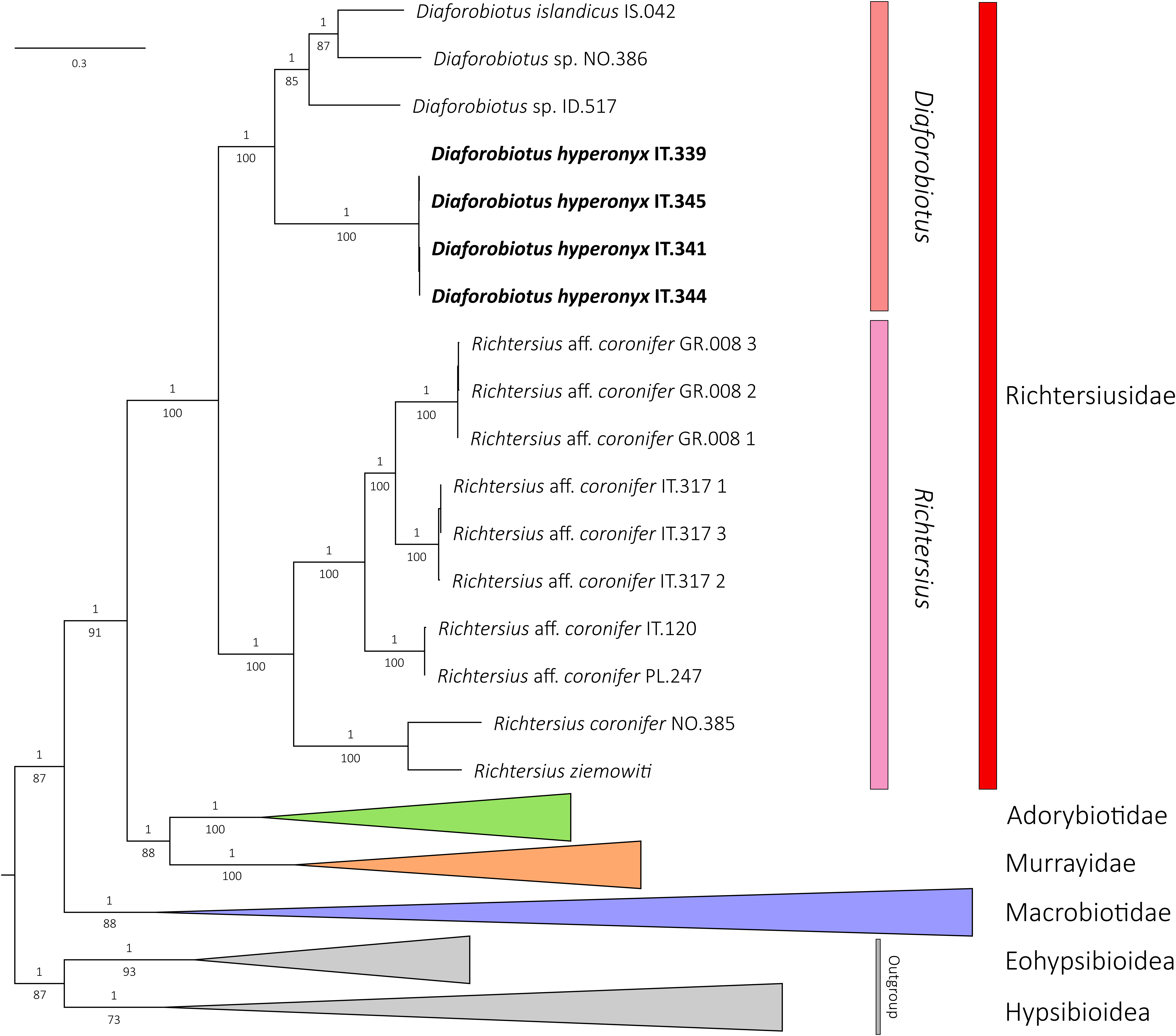 Animals 12 00404 g001