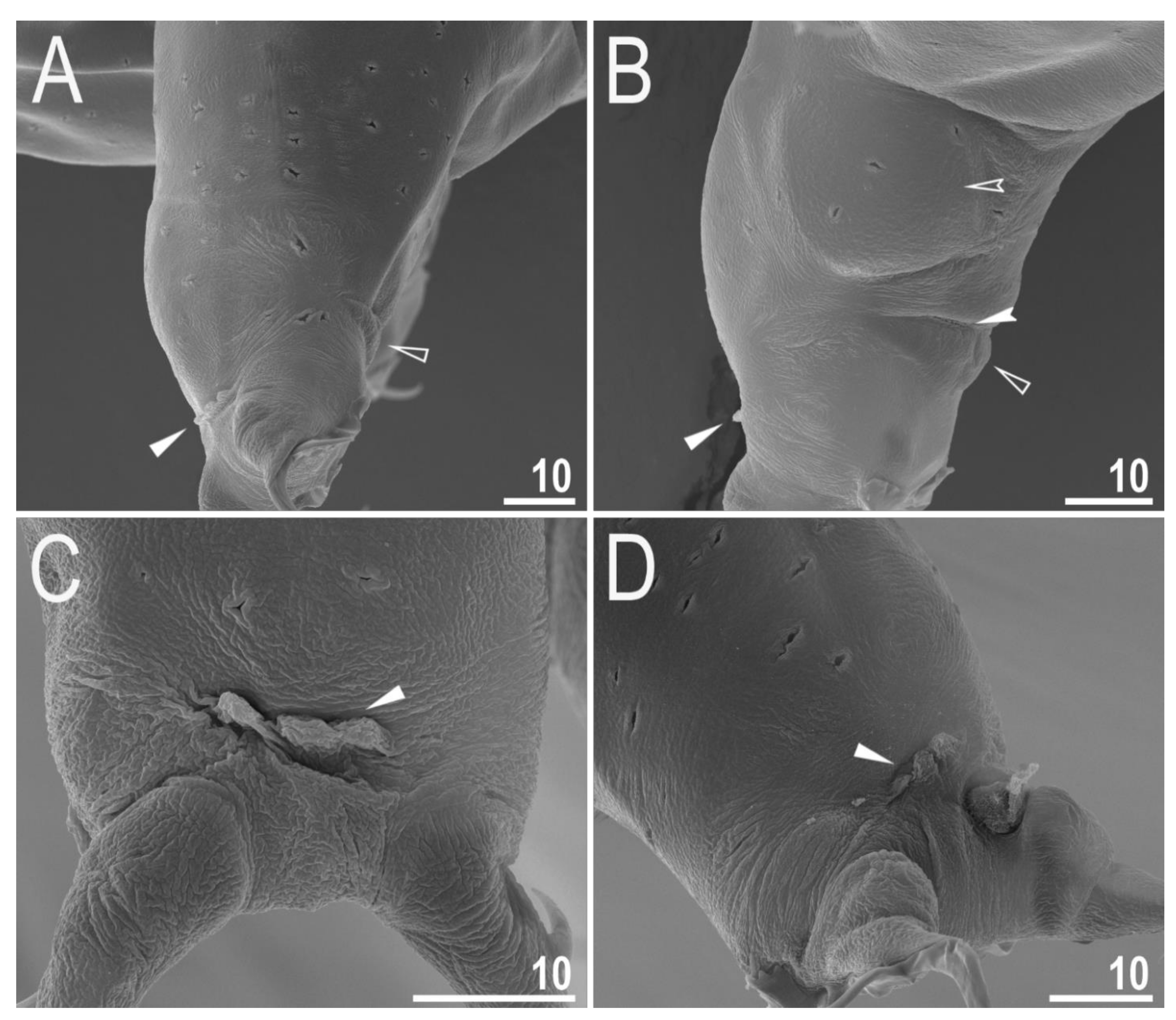 Animals 12 00404 g005