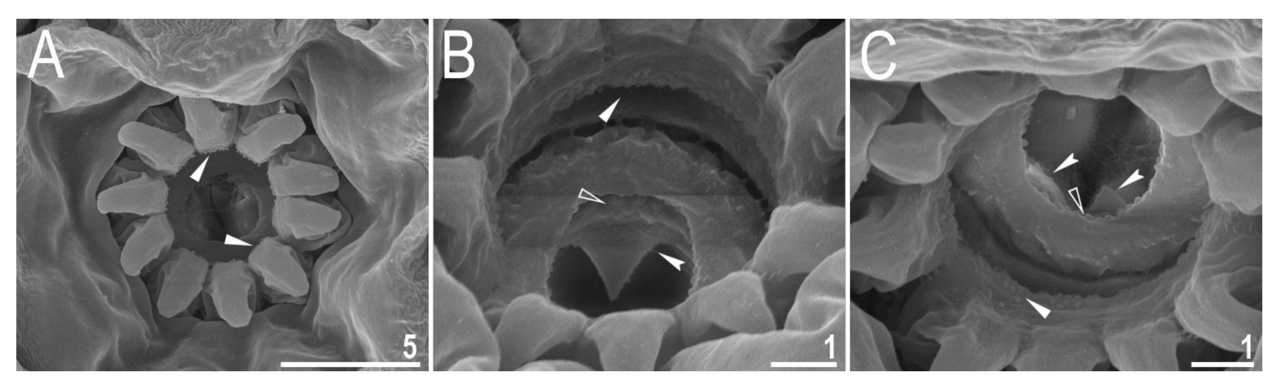 Animals 12 00404 g009