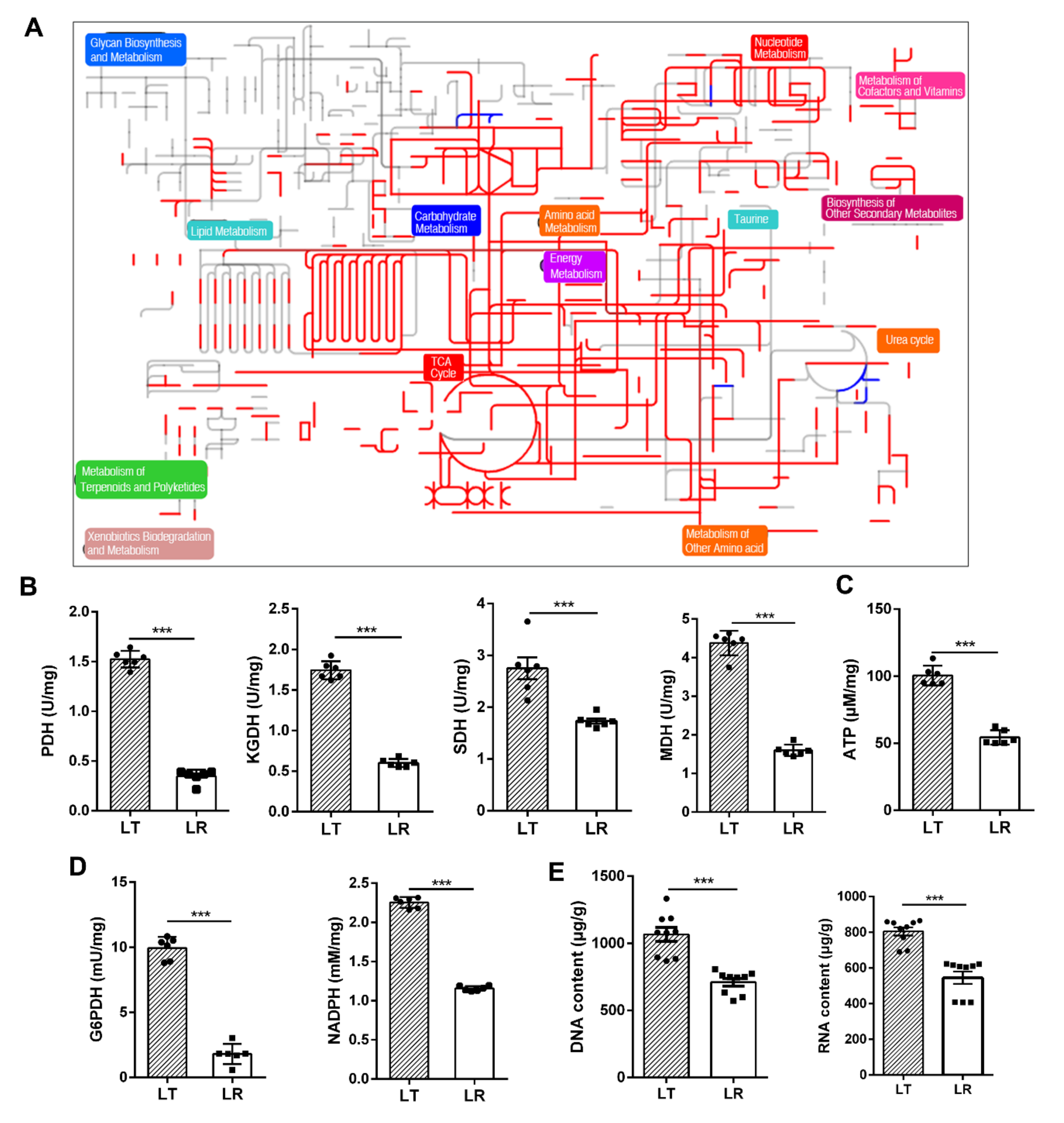 Animals 12 00420 g005