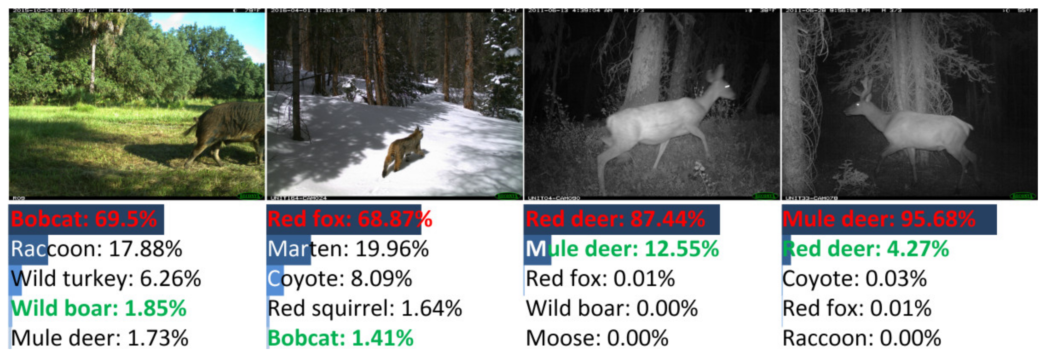 Animals 12 00437 g008