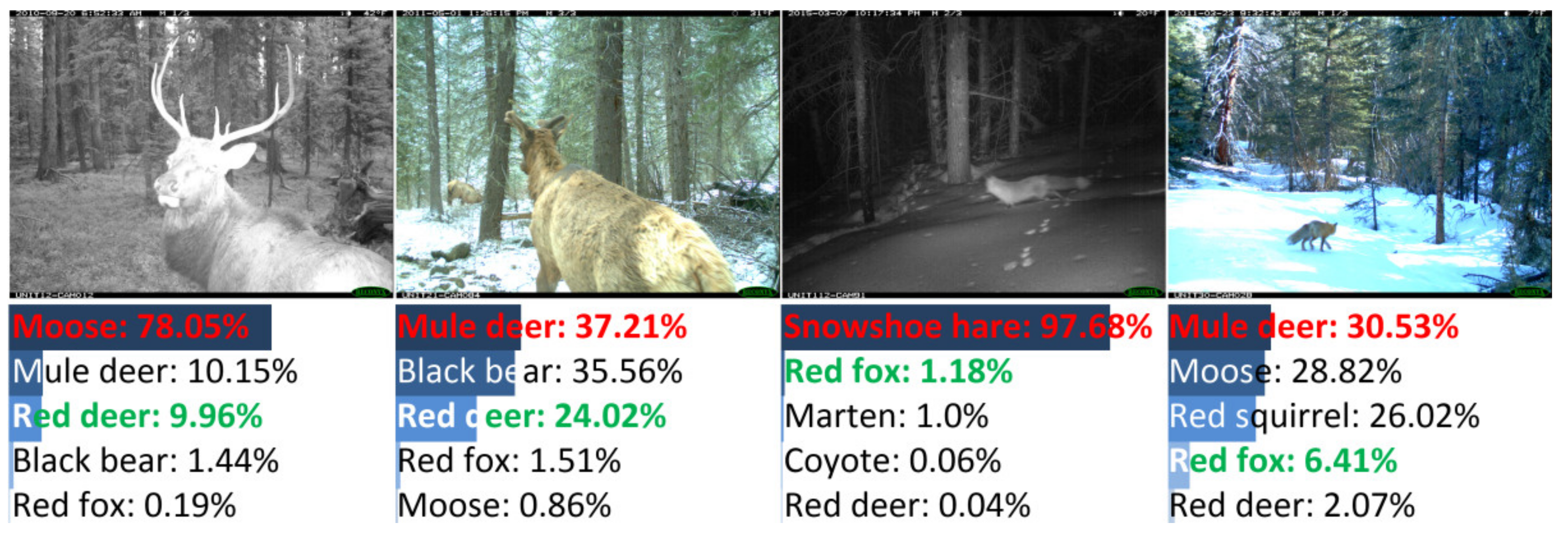 Animals 12 00437 g009