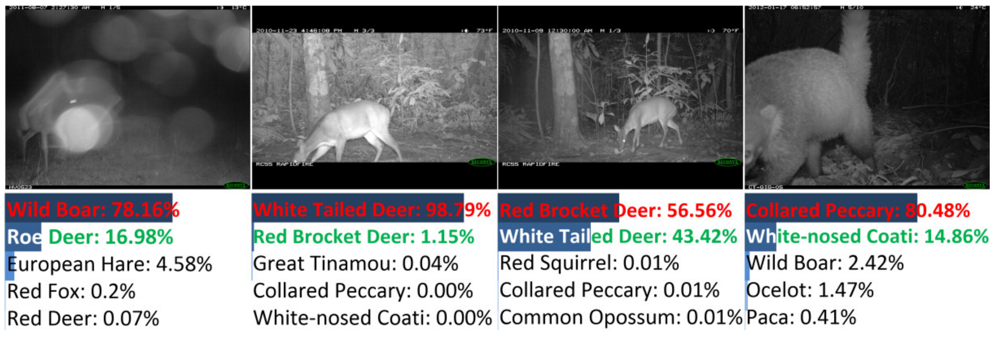 Animals 12 00437 g014