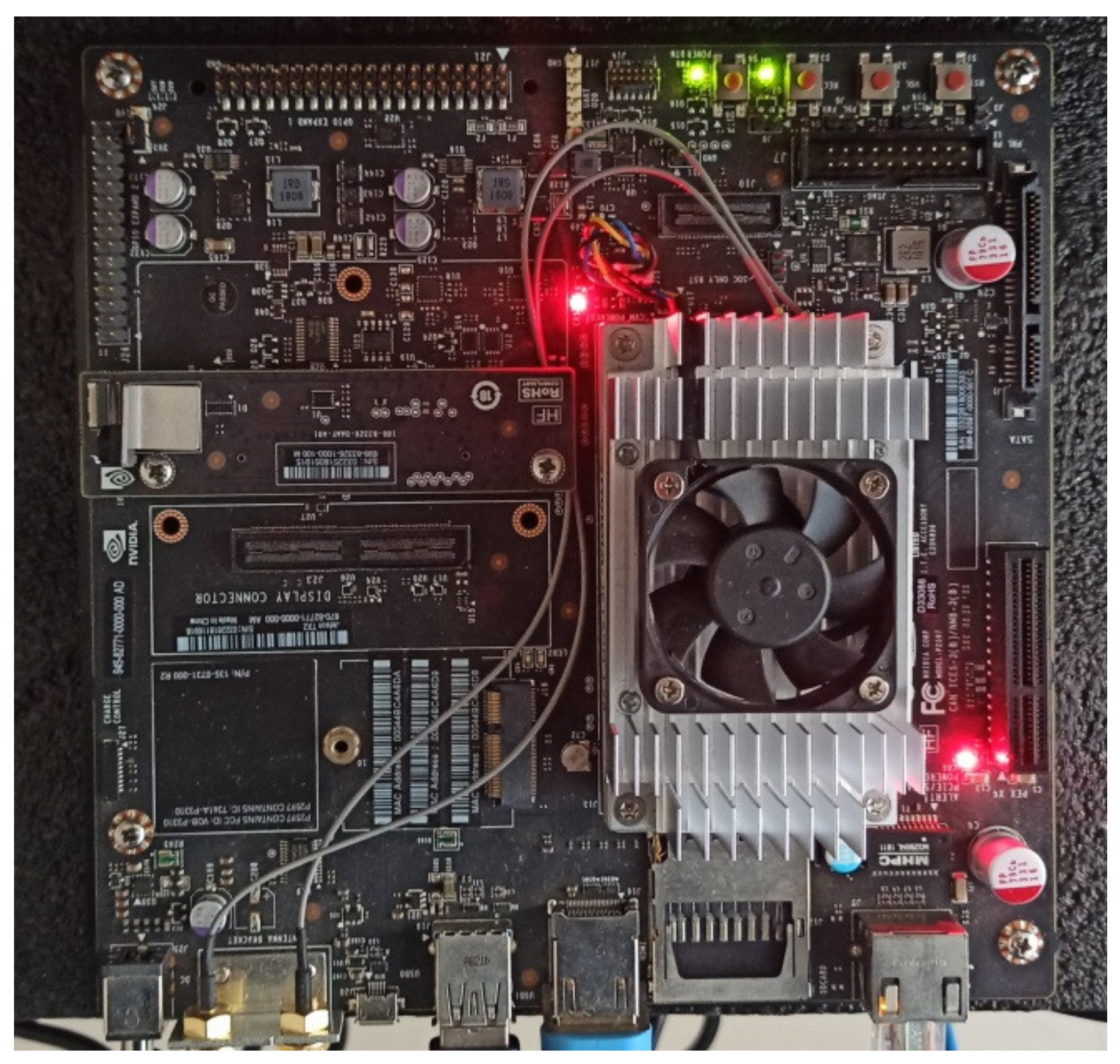 Animals 12 00437 g015