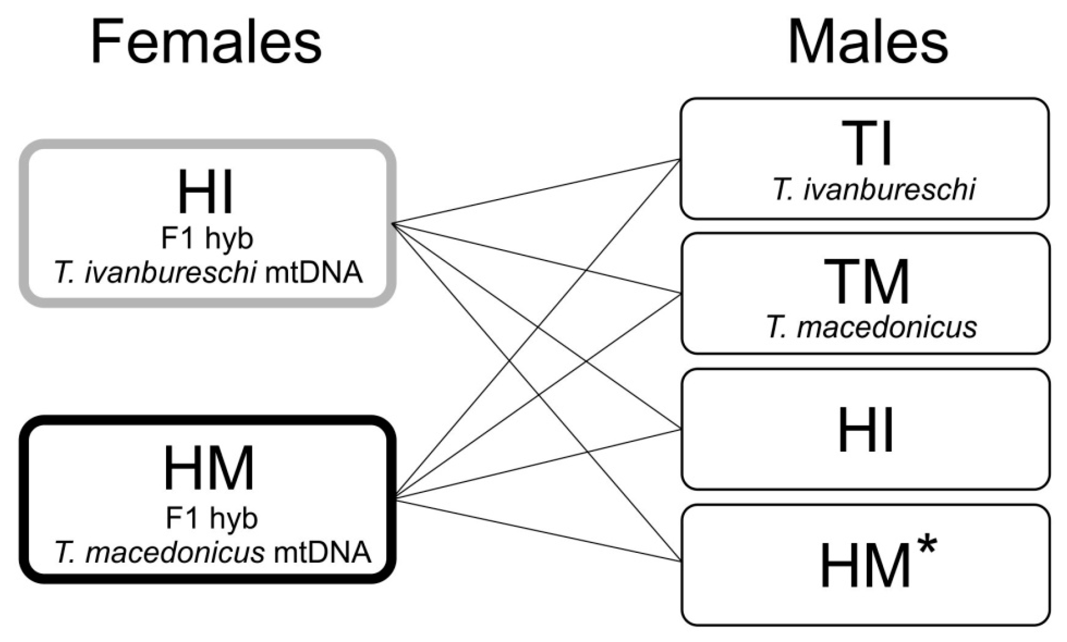 Animals 12 00443 g001 Animals 12 00443 g001