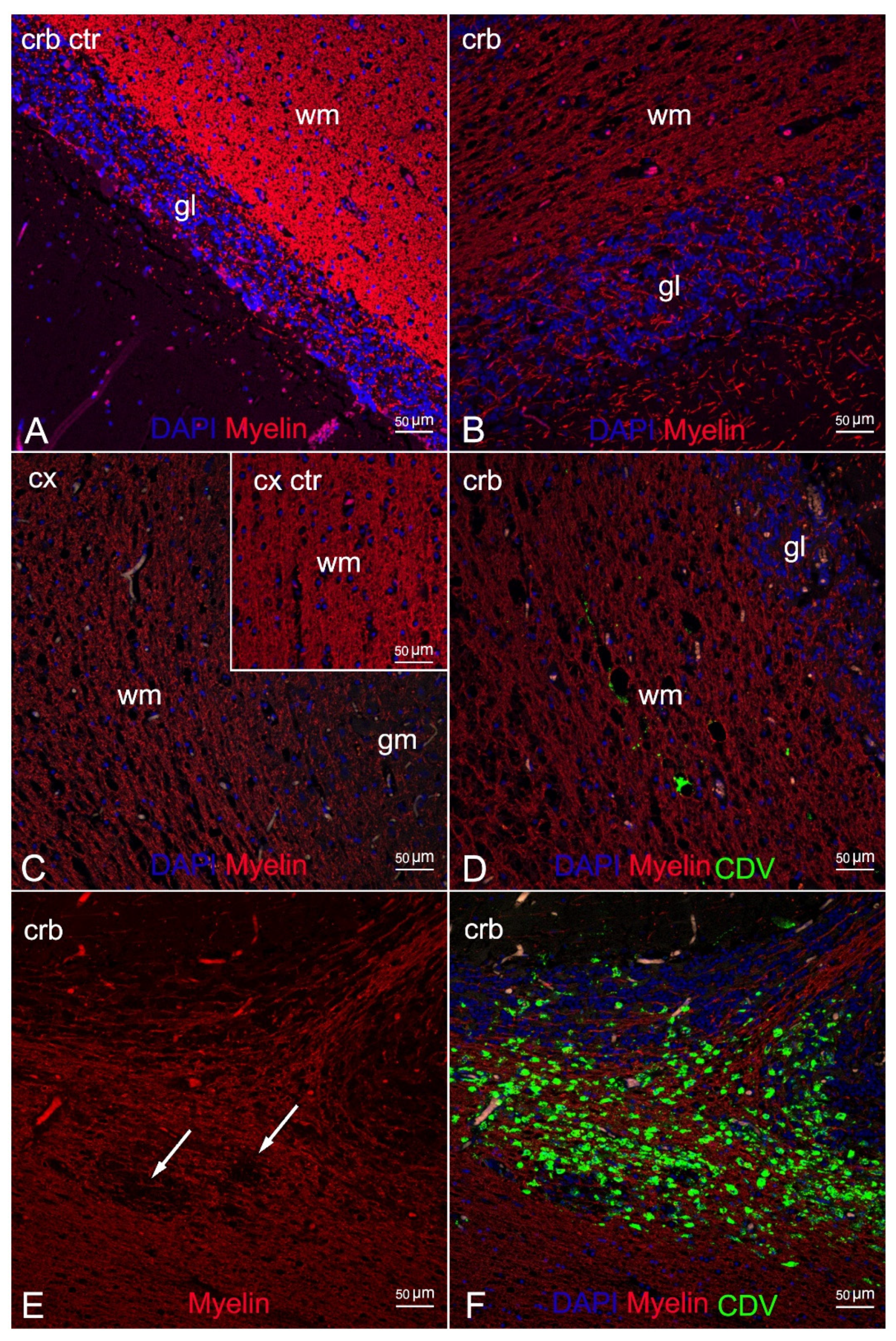 Animals 12 00452 g004