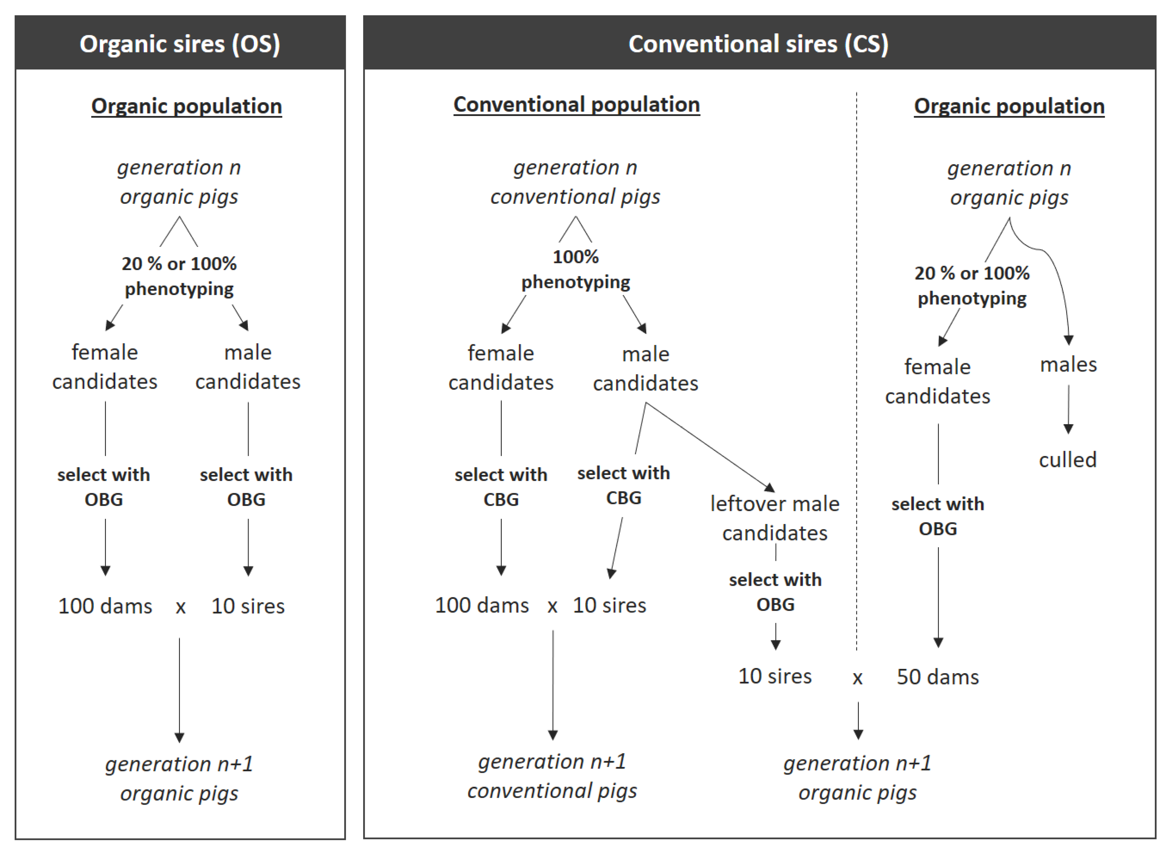 Animals 12 00455 g001 Animals 12 00455 g001