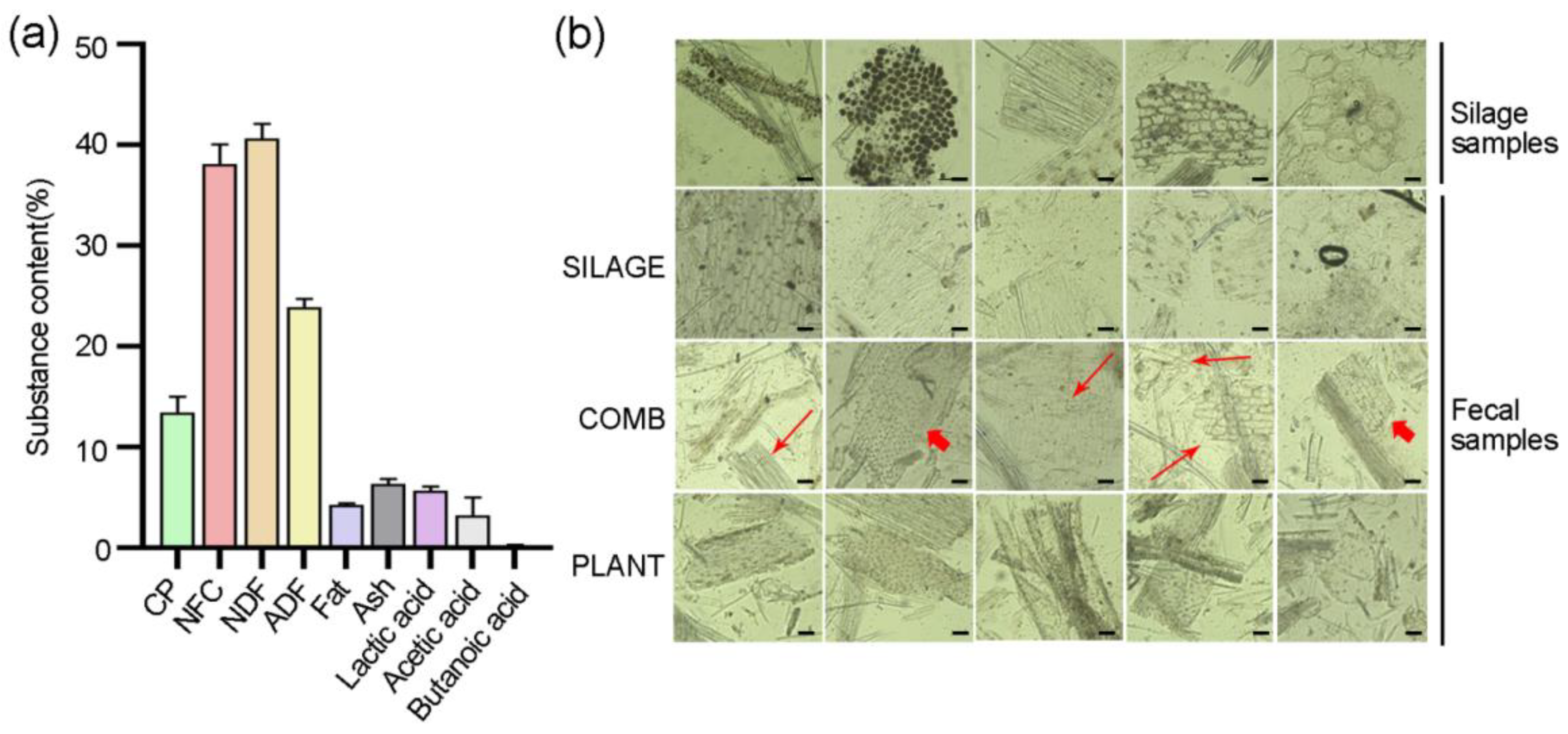 Animals 12 00584 g001