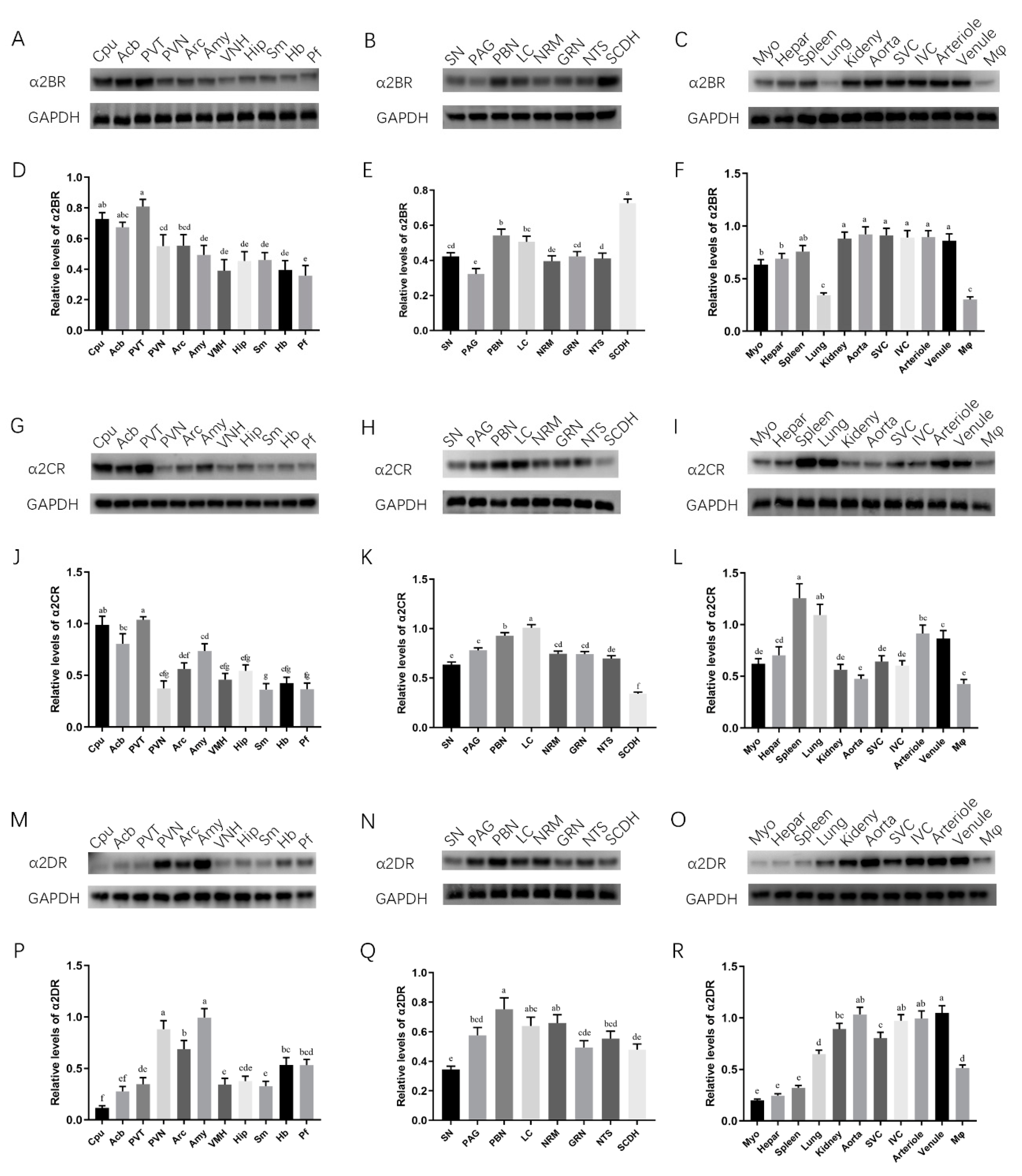 Animals 12 00664 g003 Animals 12 00664 g003