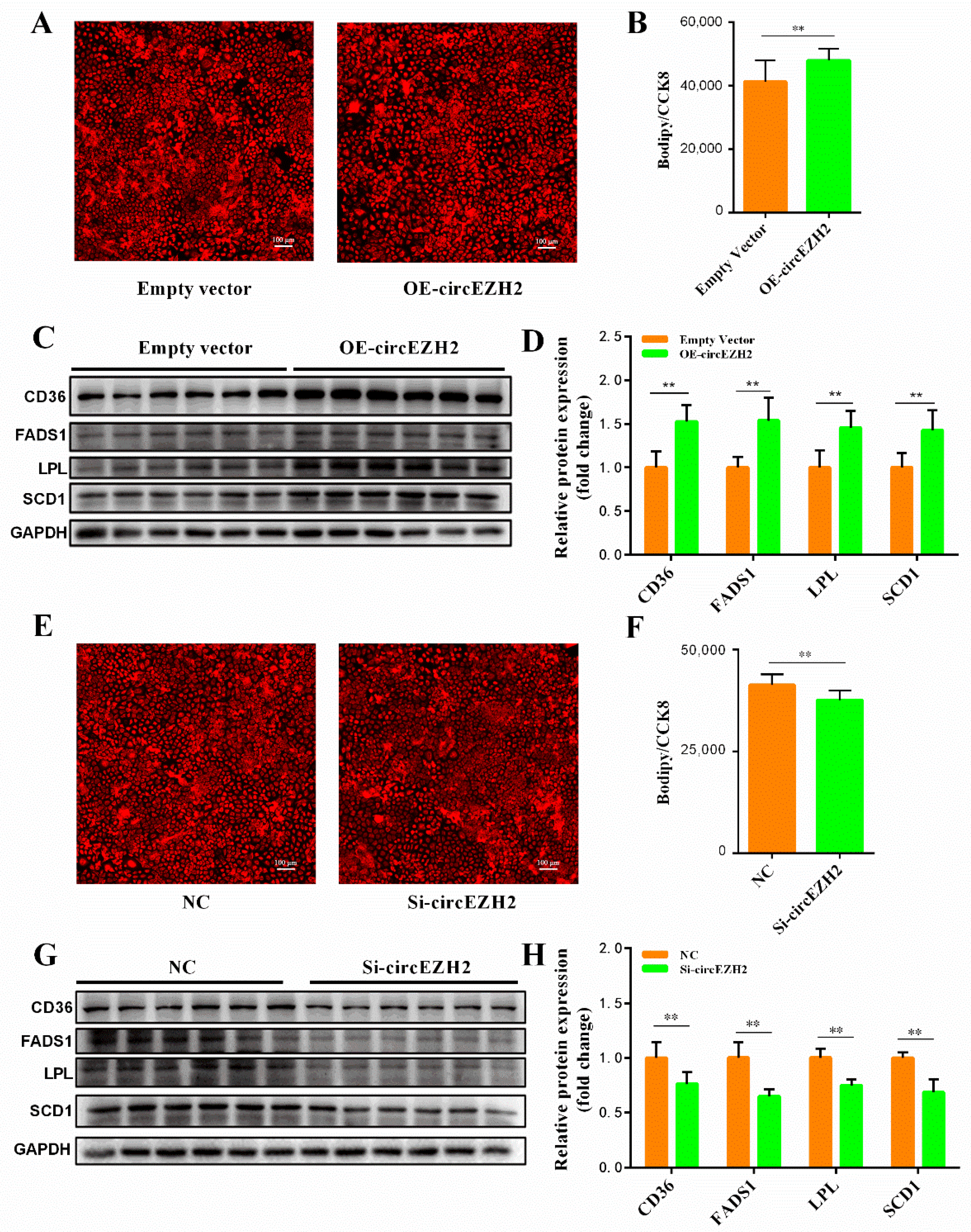 Animals 12 00718 g005 Animals 12 00718 g005