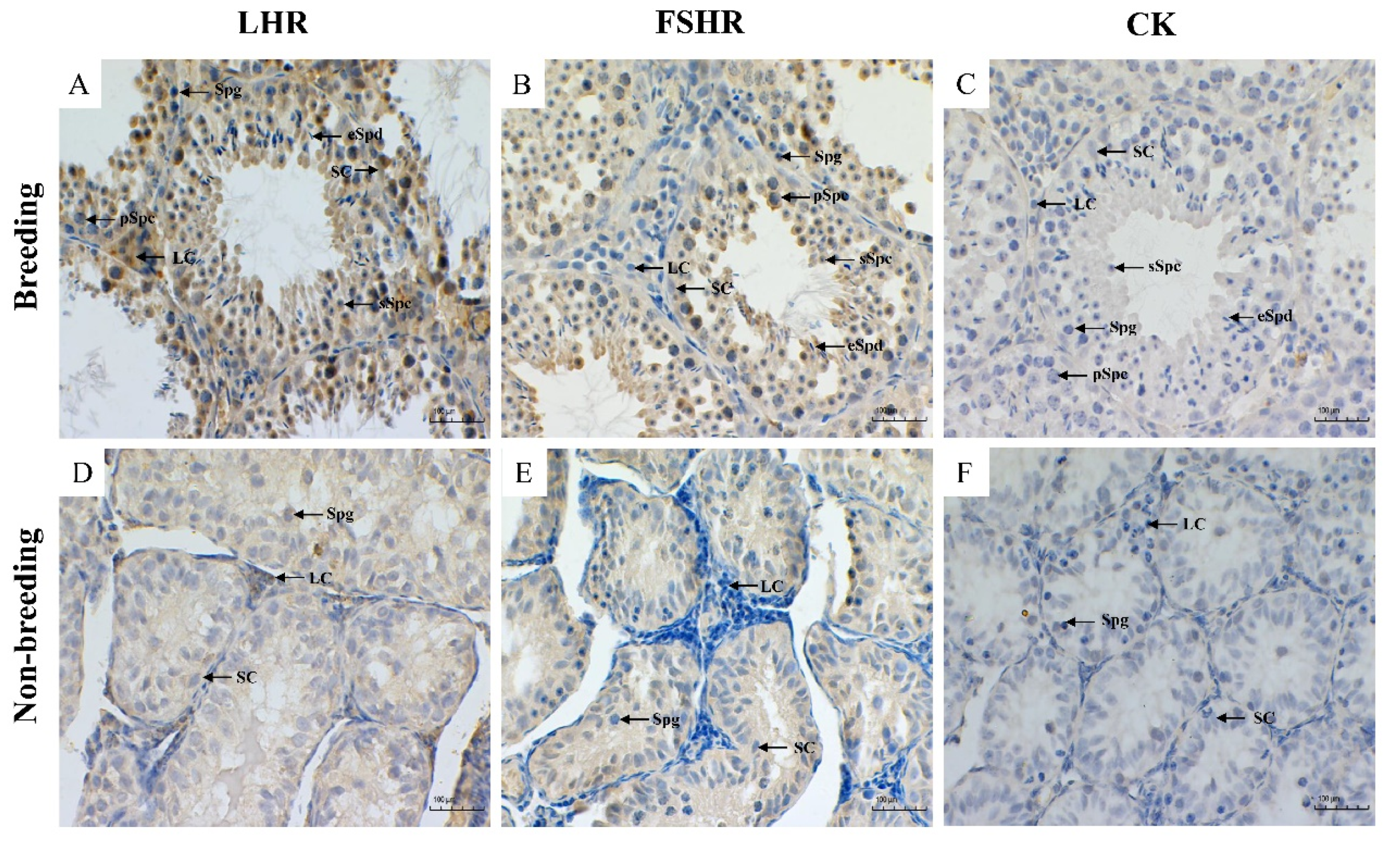 Animals 12 00725 g002
