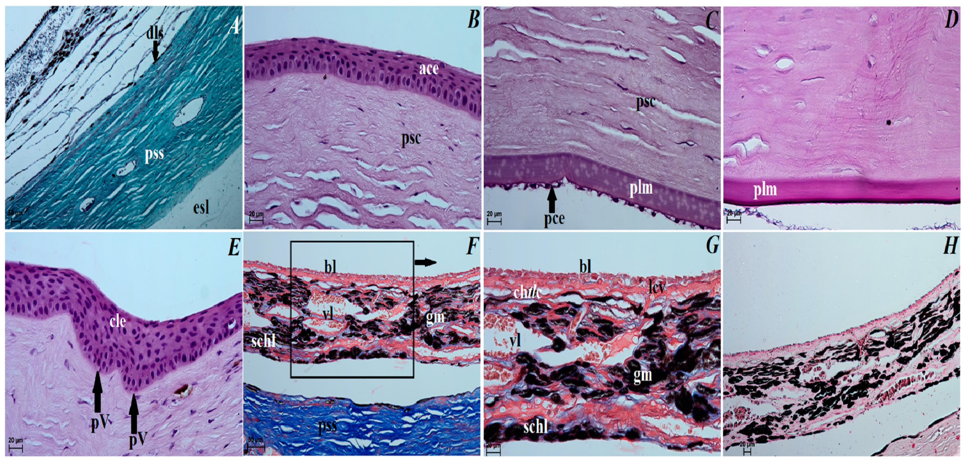 Animals 12 00801 g003 Animals 12 00801 g003