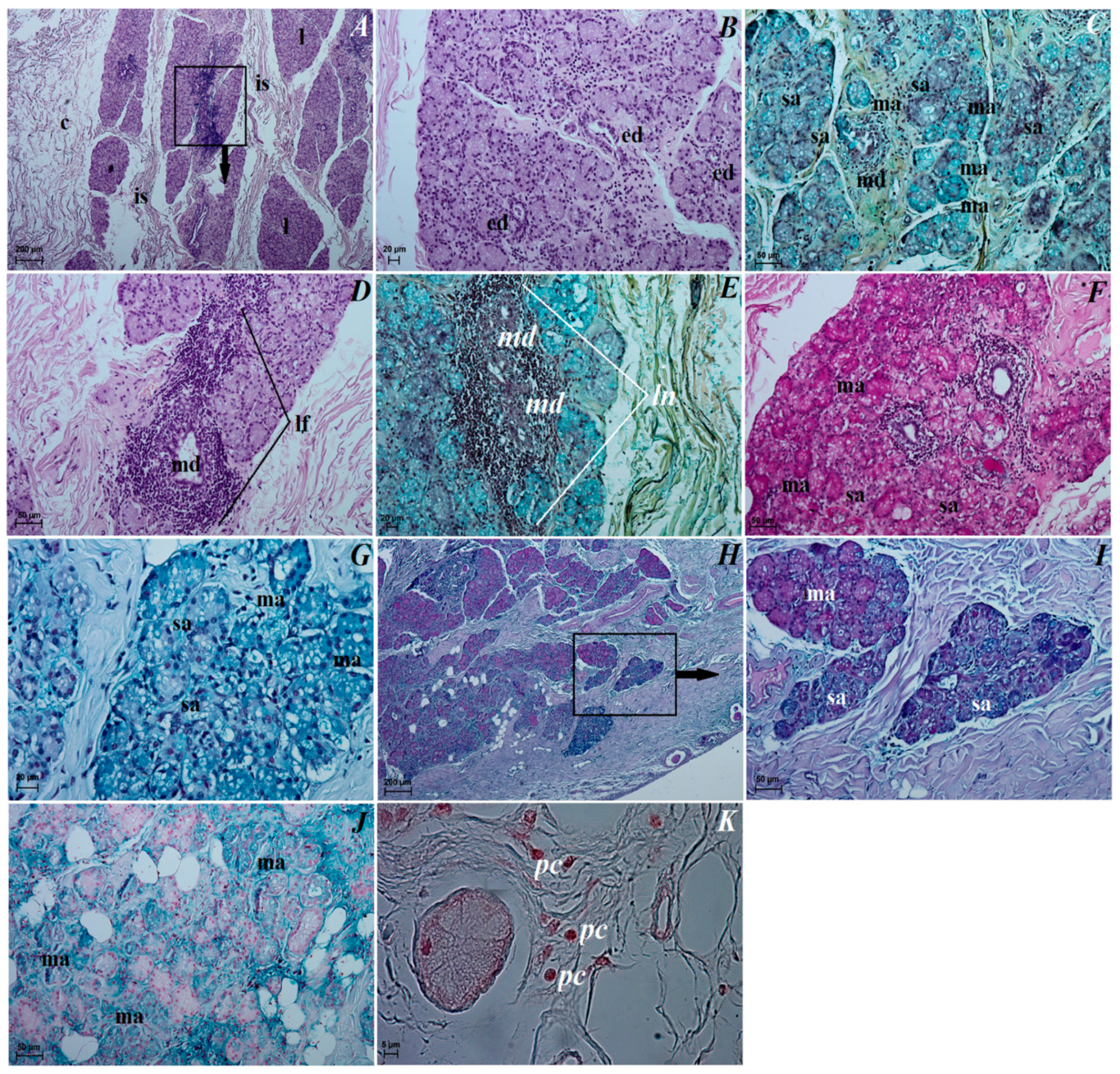 Animals 12 00801 g006 Animals 12 00801 g006