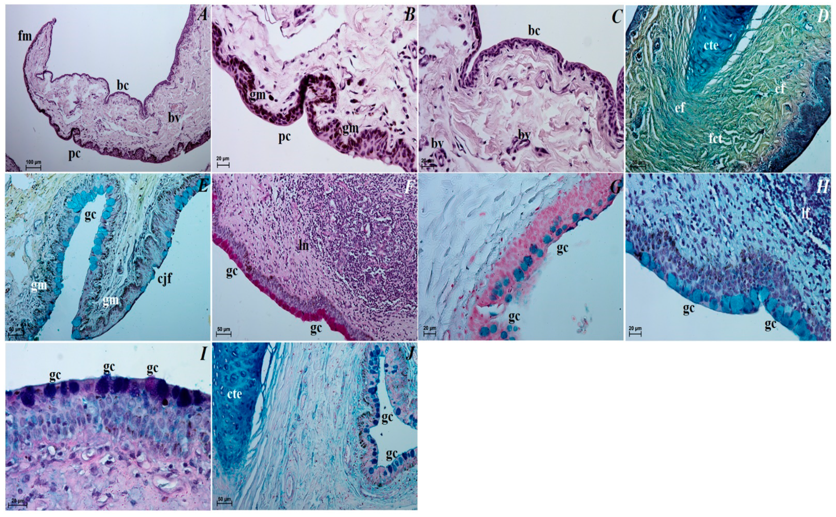 Animals 12 00801 g007 Animals 12 00801 g007