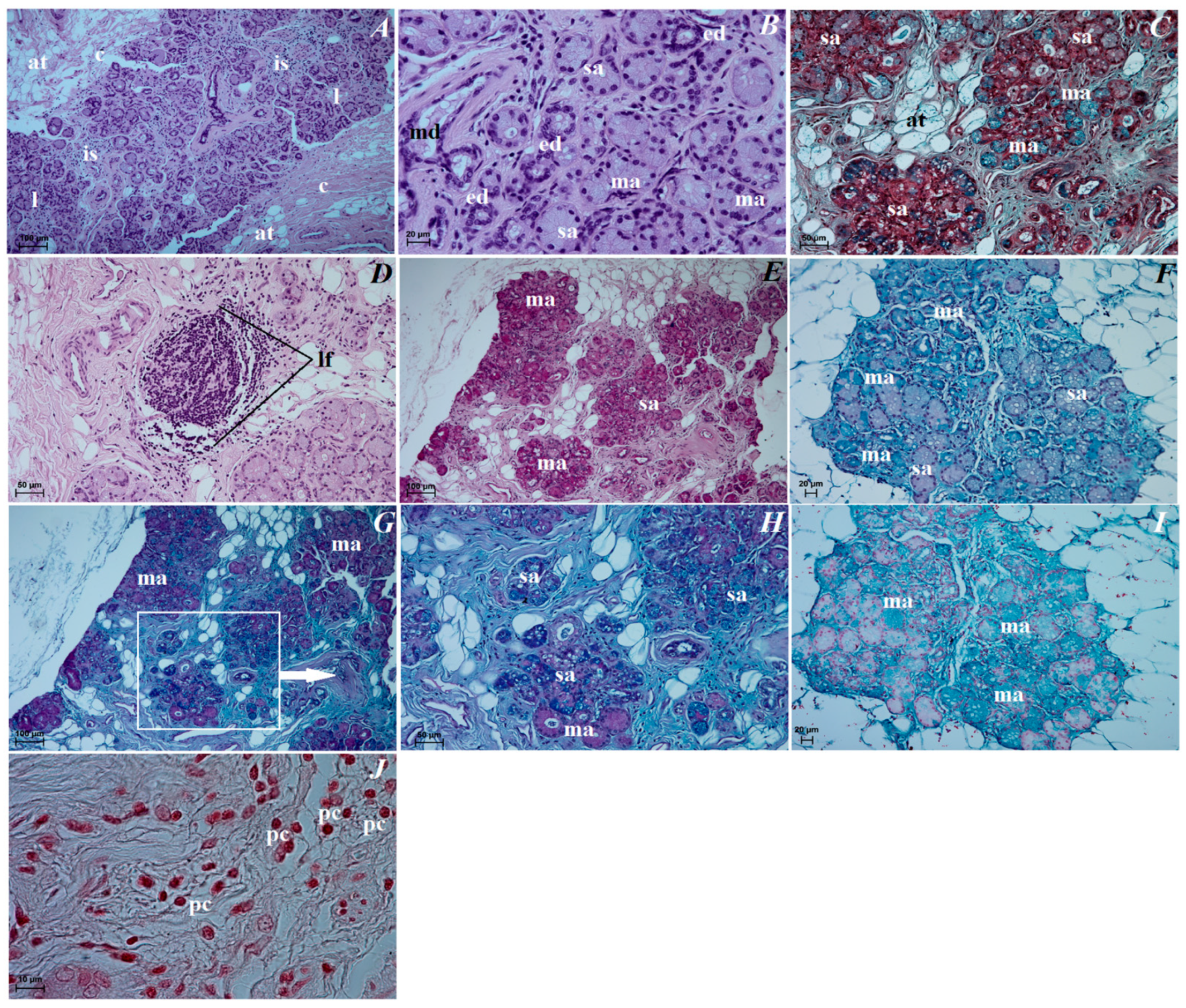 Animals 12 00801 g008 Animals 12 00801 g008