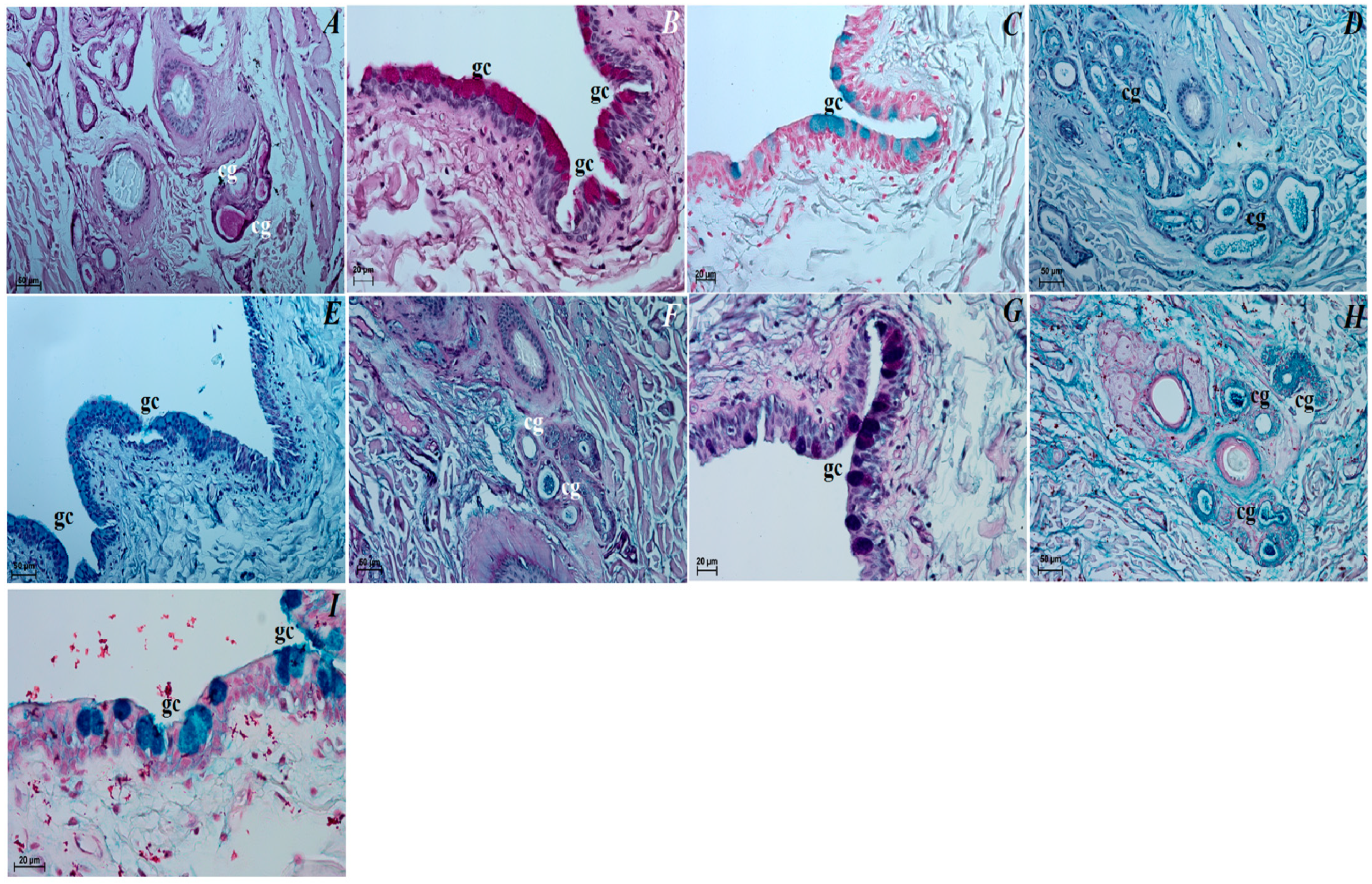 Animals 12 00801 g009 Animals 12 00801 g009