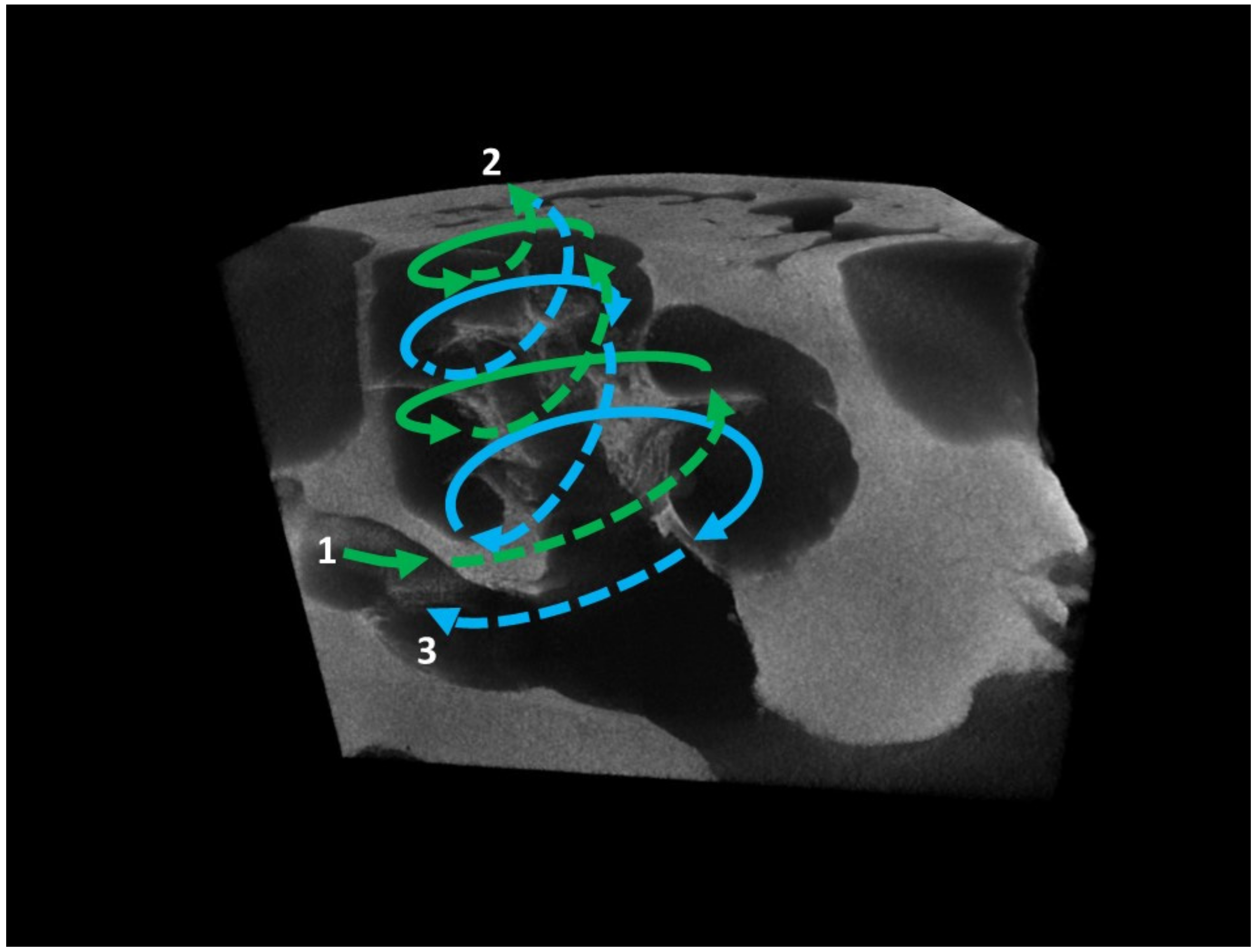 Animals 12 00833 g004