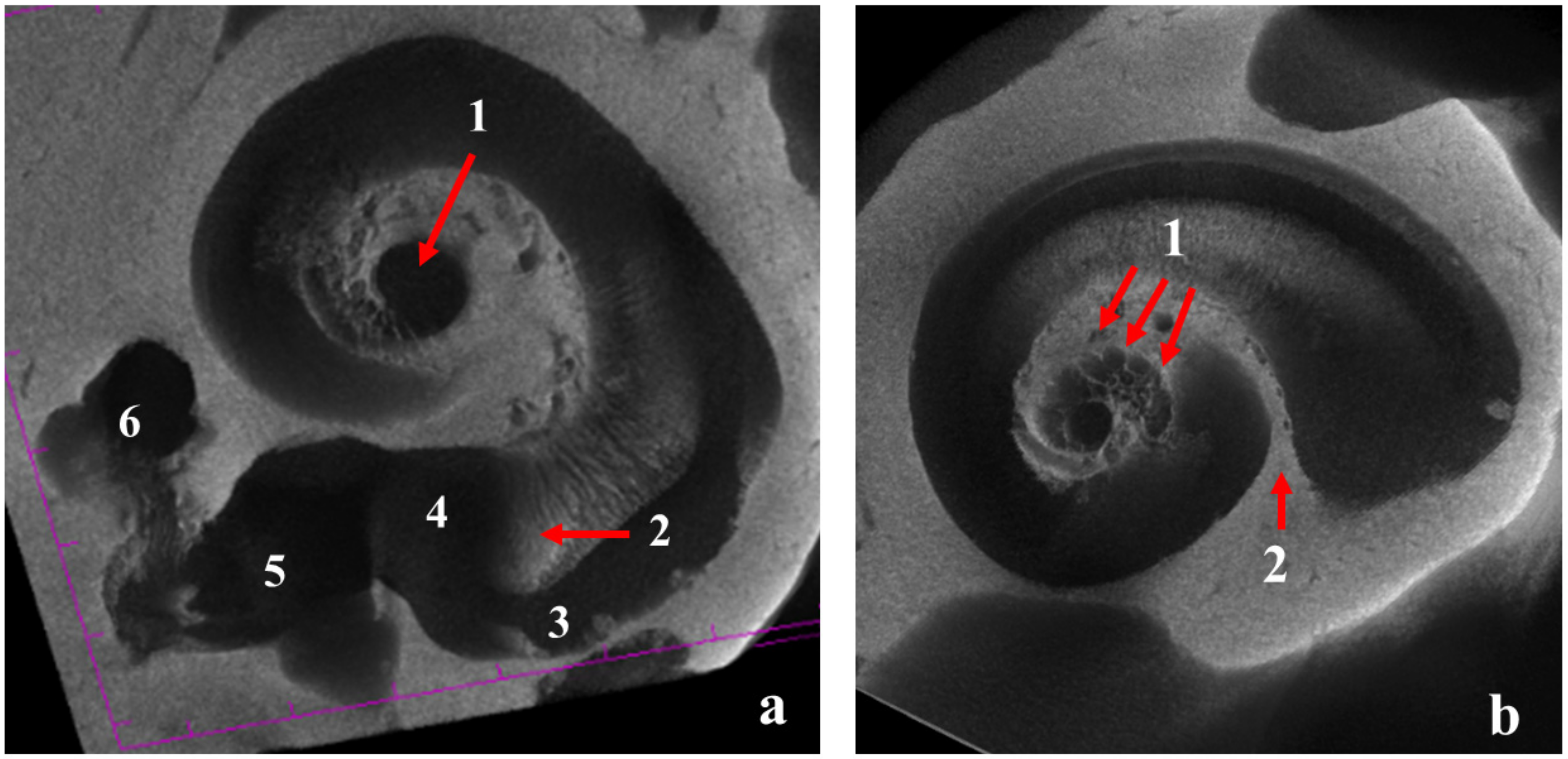 Animals 12 00833 g005