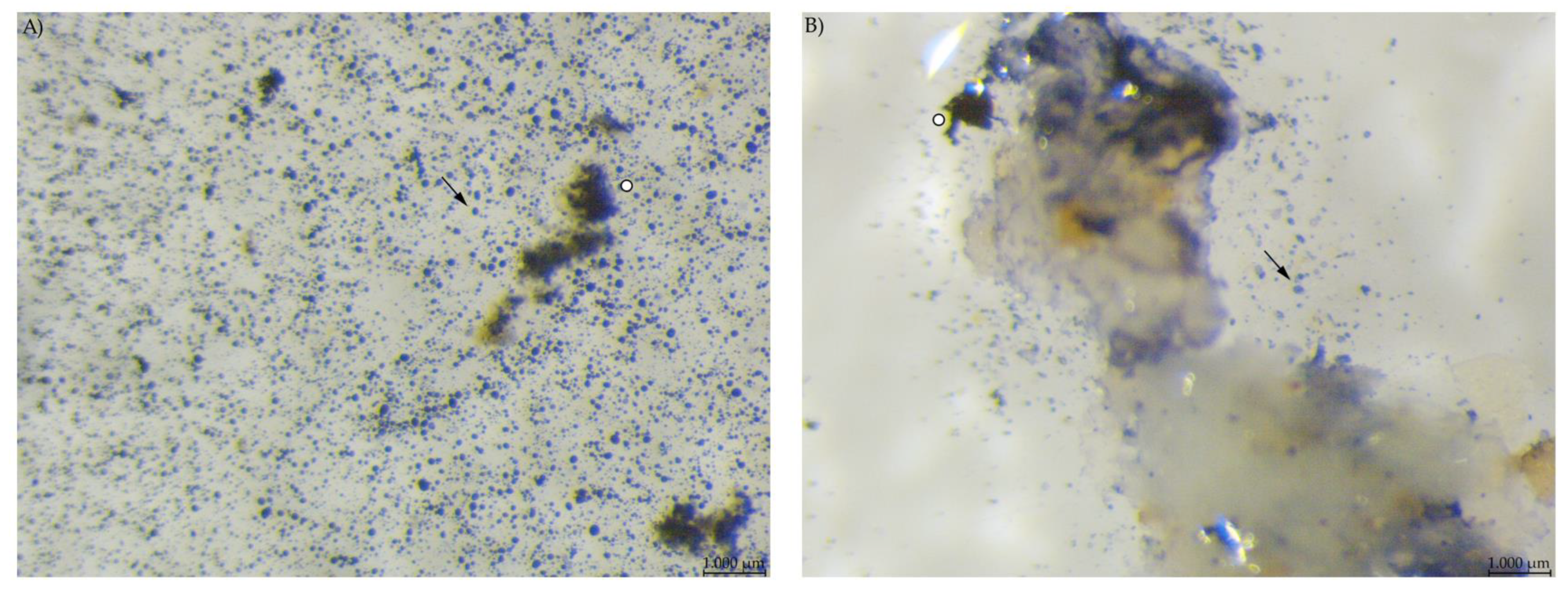 Animals 12 00952 g004