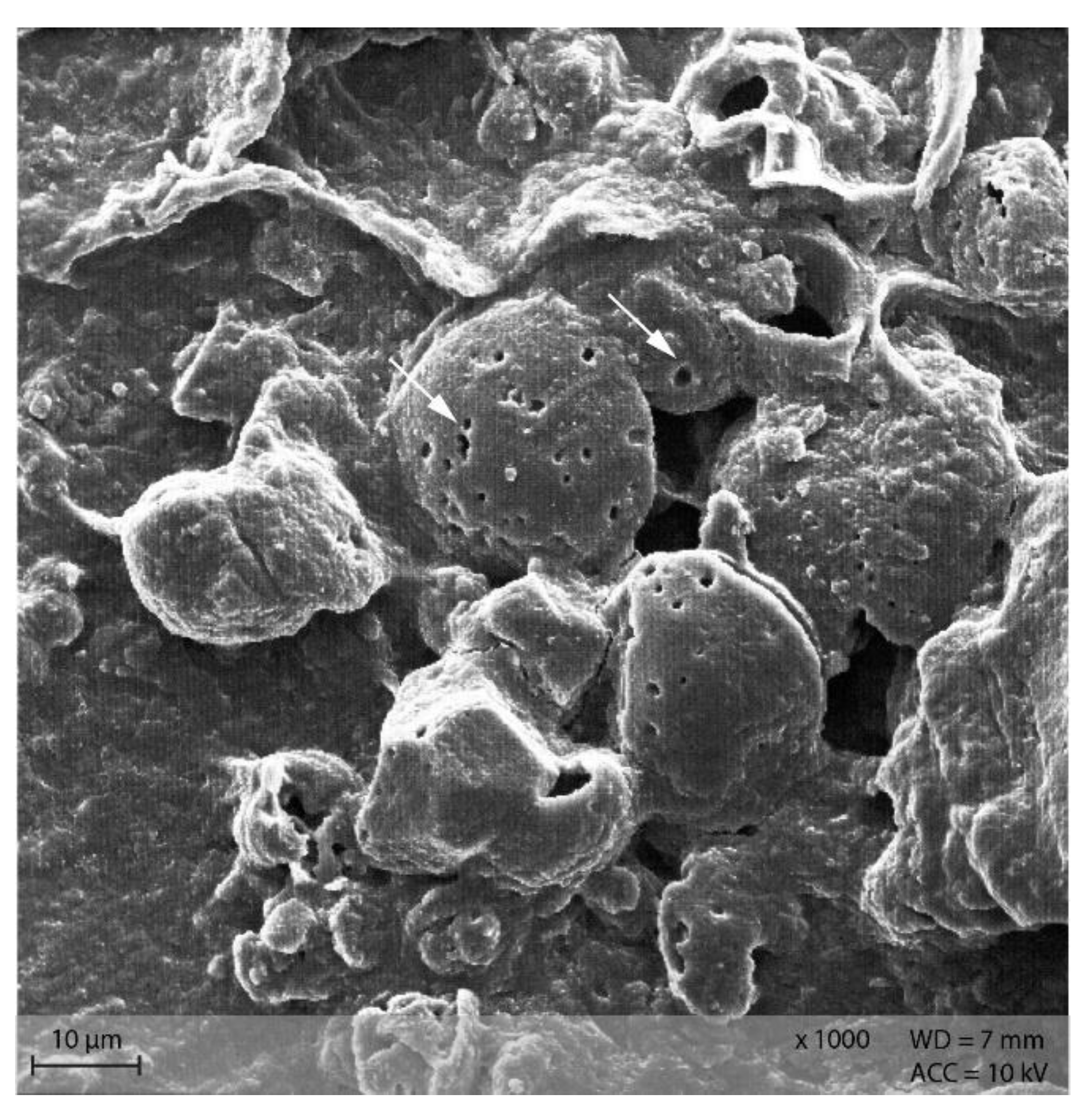 Animals 12 00952 g011