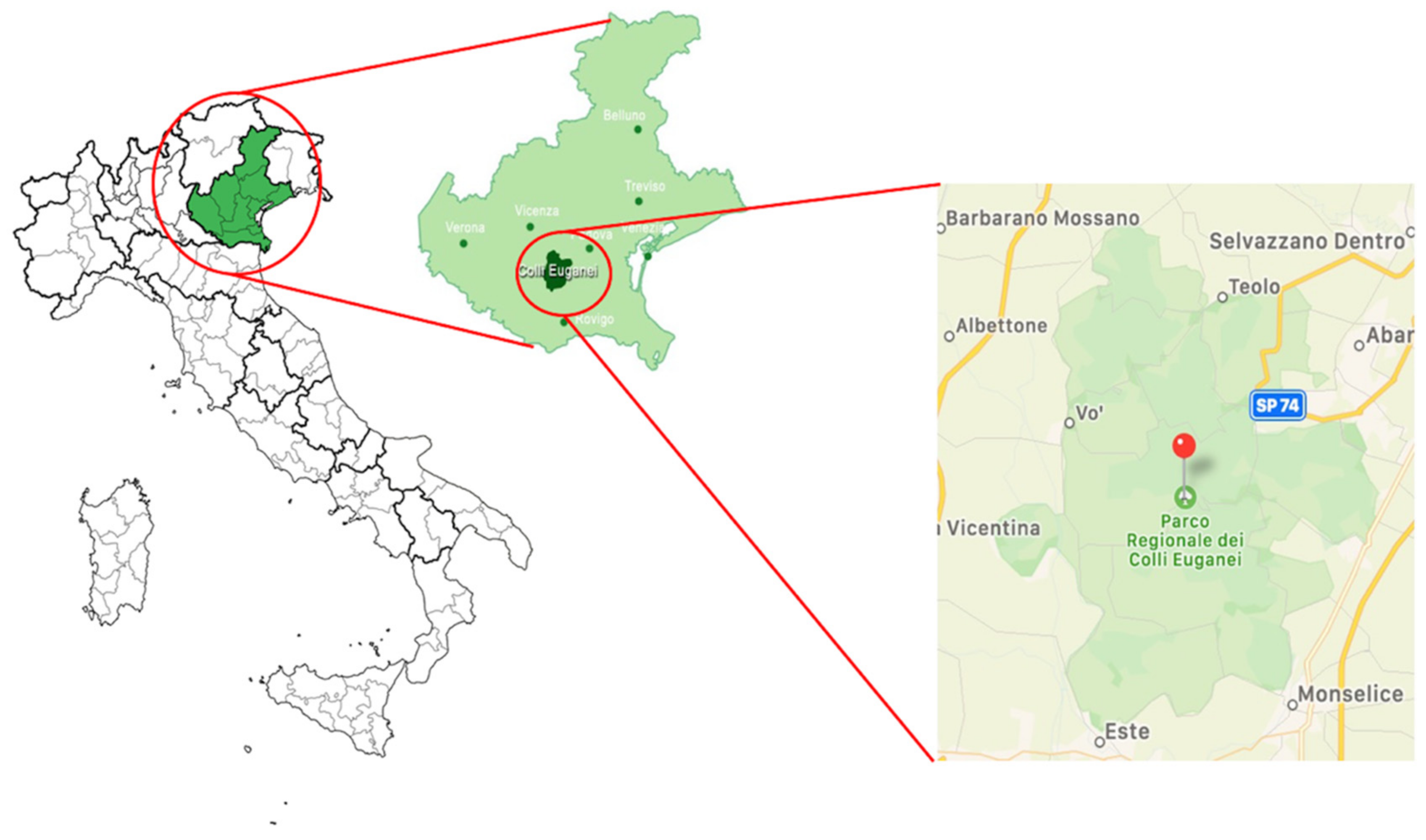 Animals 12 00967 g001