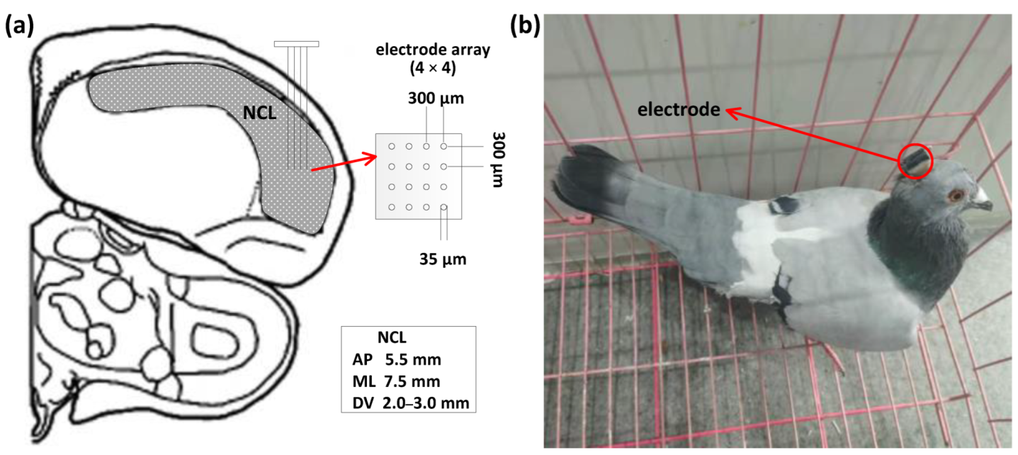 Animals 12 01019 g001