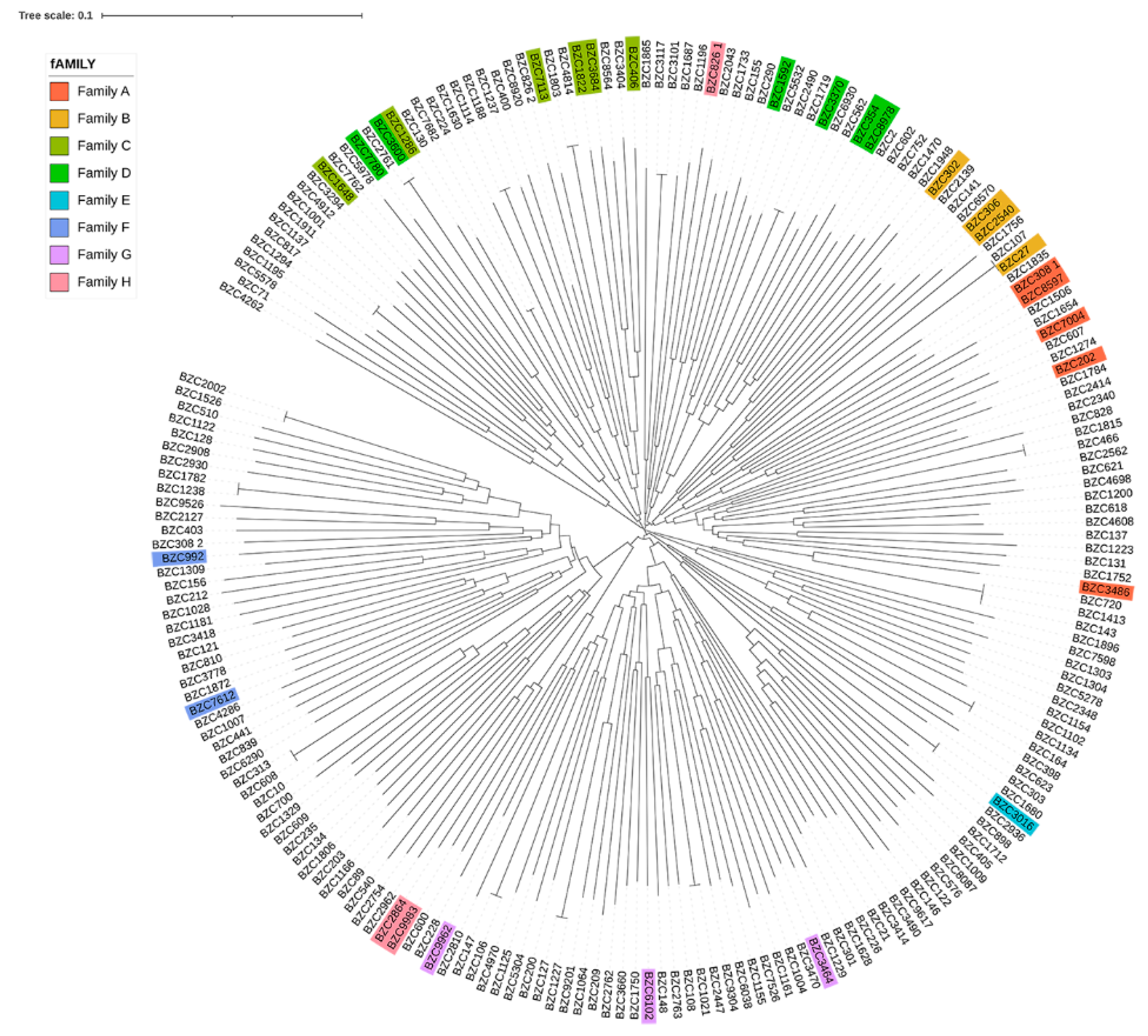 Animals 12 01045 g003