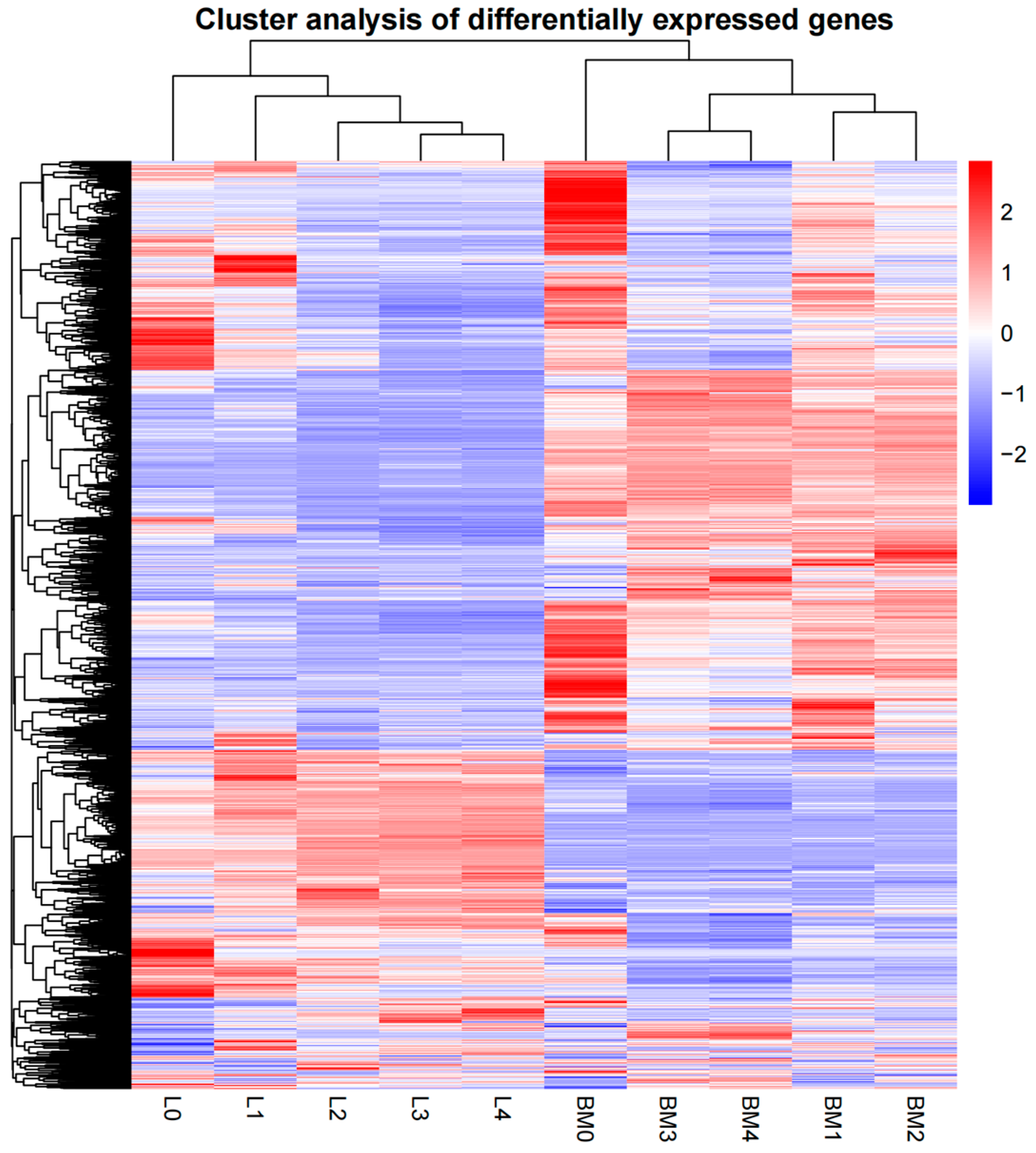 Animals 12 01061 g003 Animals 12 01061 g003