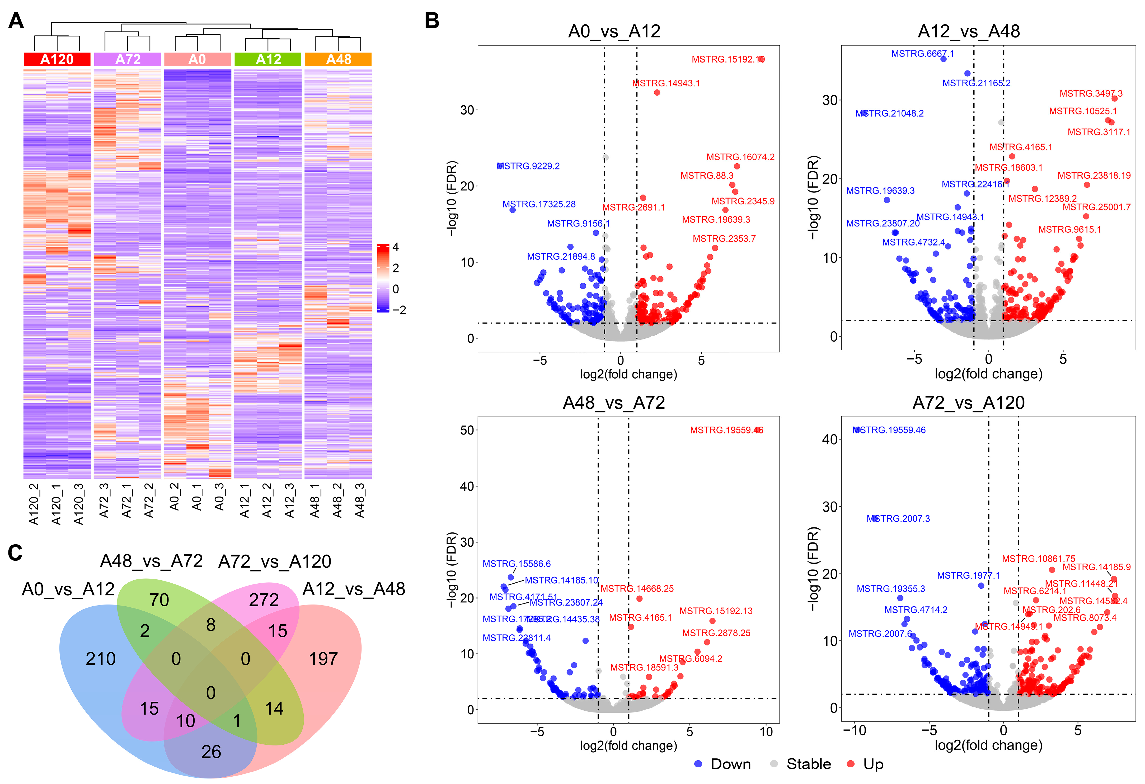 Animals 12 01099 g001