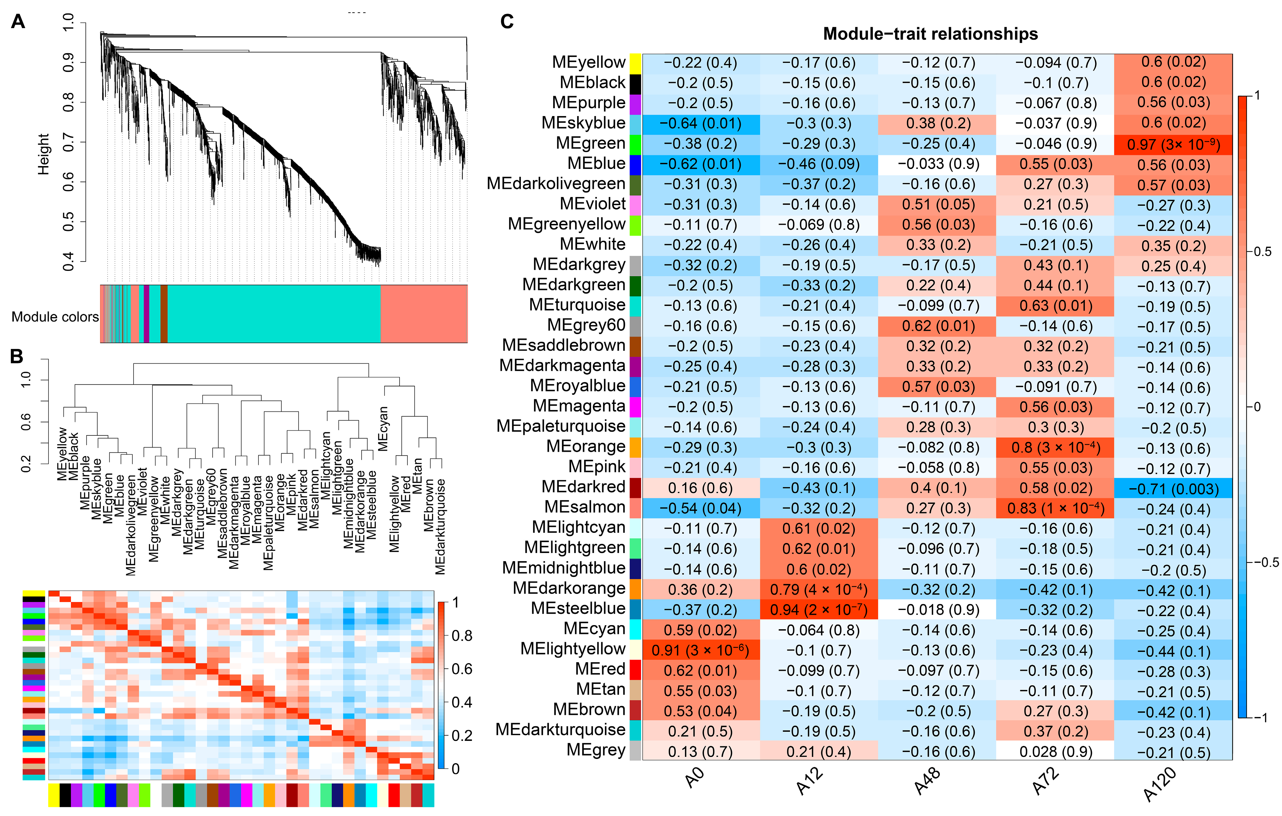Animals 12 01099 g005