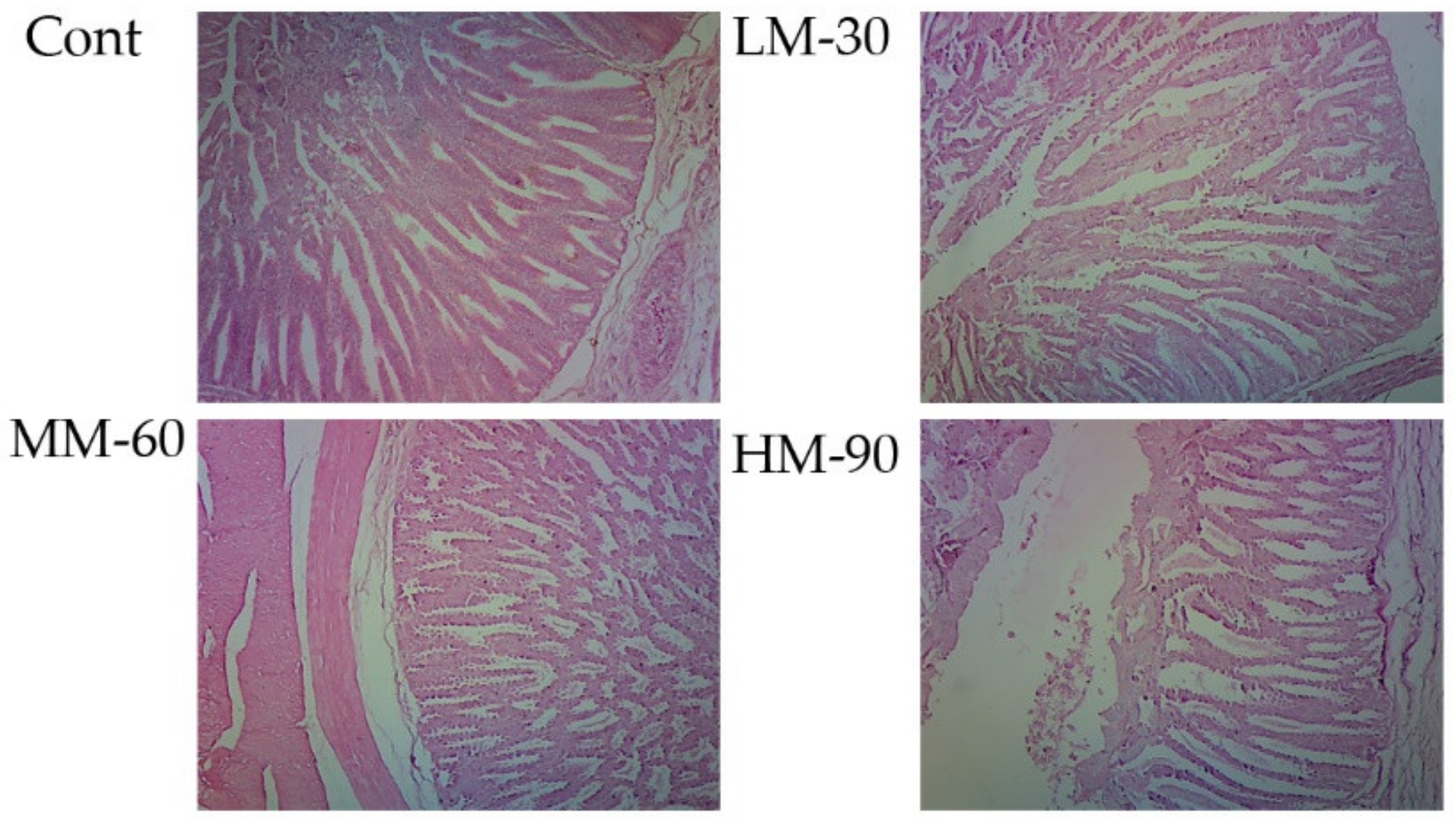 Animals 12 01126 g005