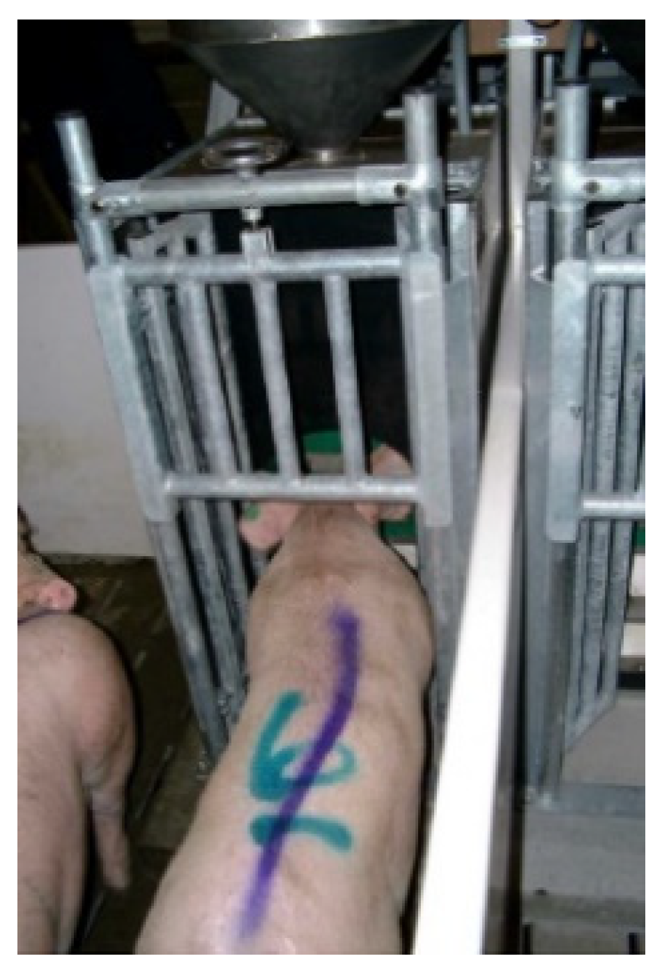 Animals 12 01128 g002