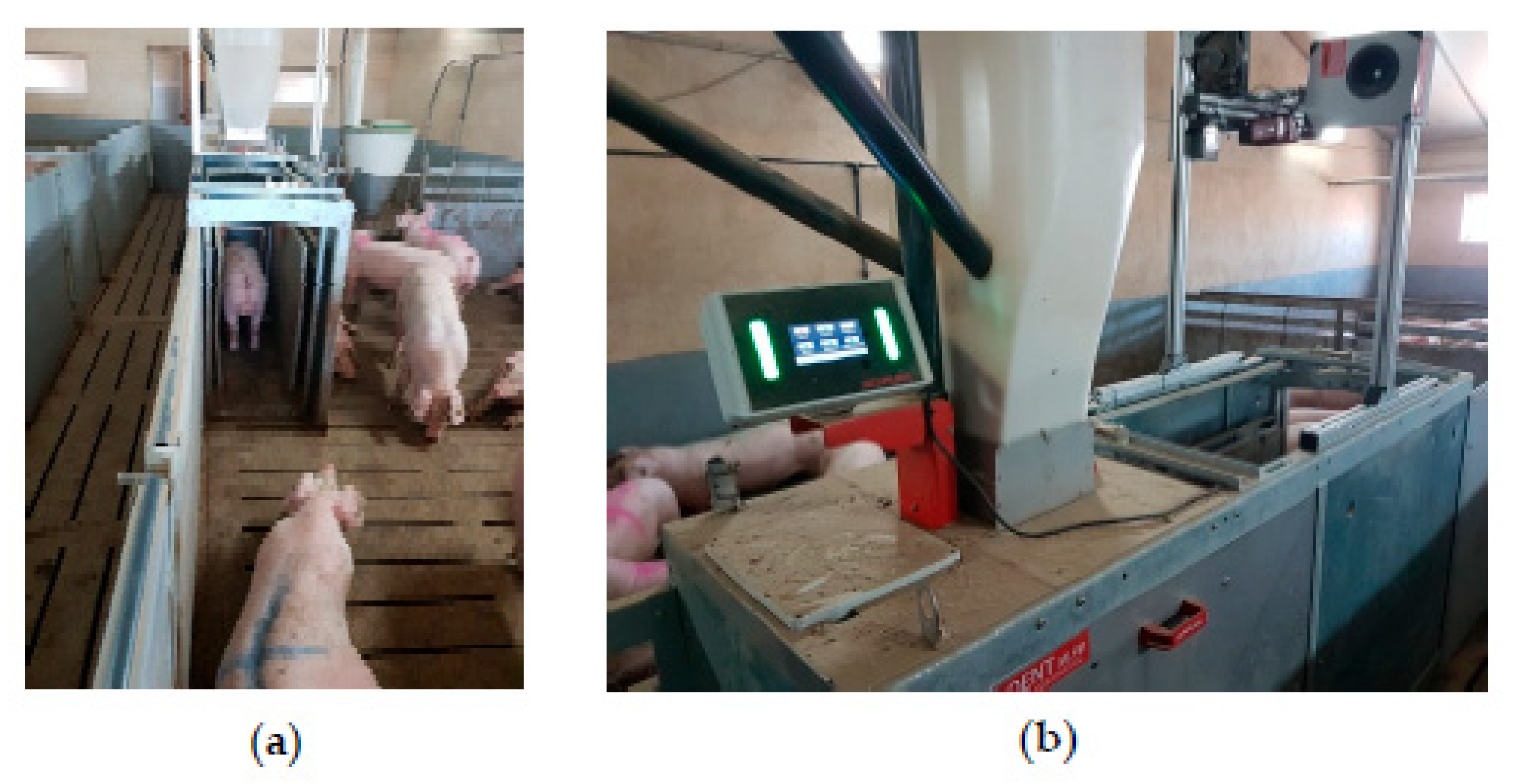 Animals 12 01128 g003