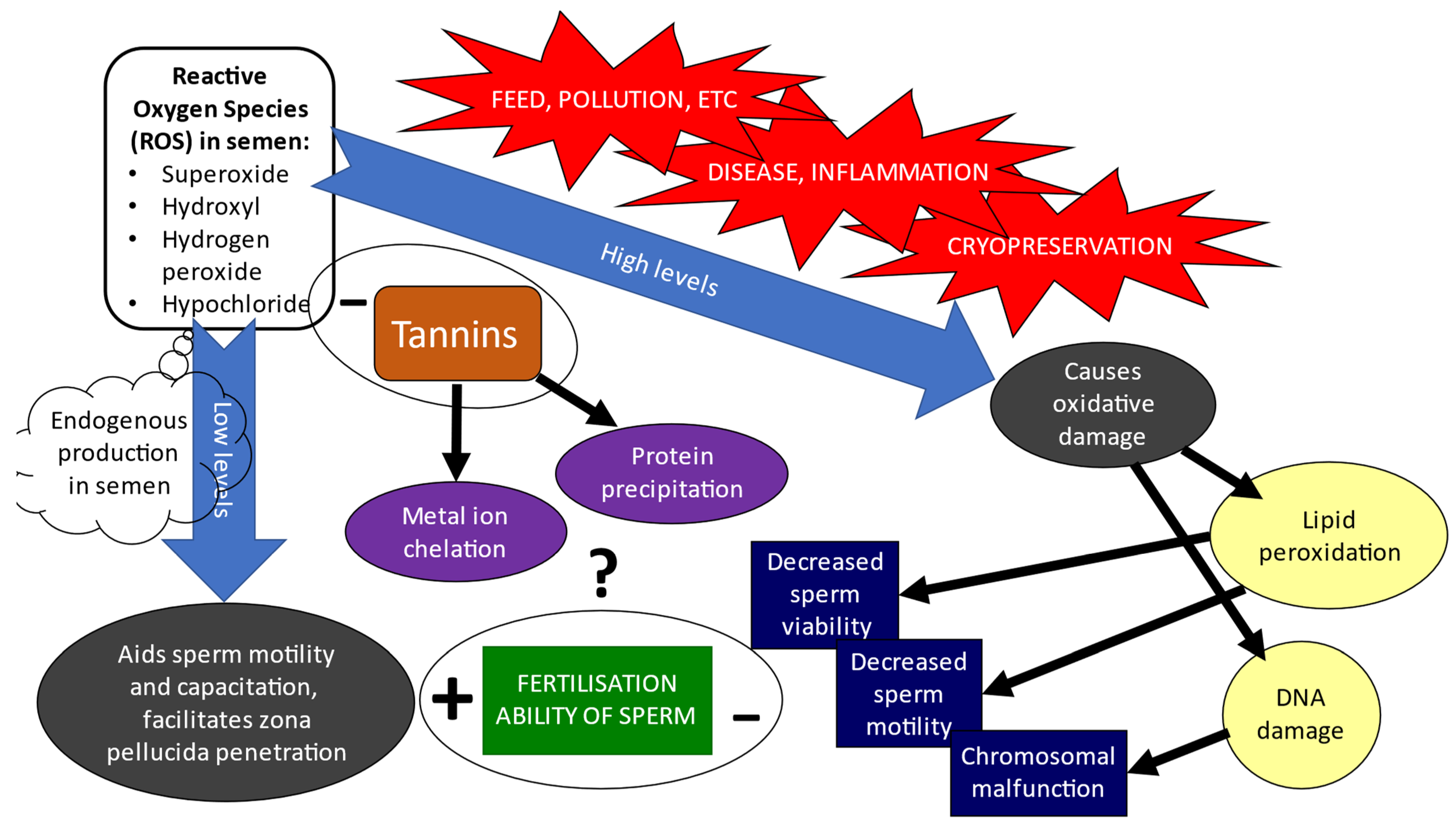 Animals 12 01130 g002 Animals 12 01130 g002