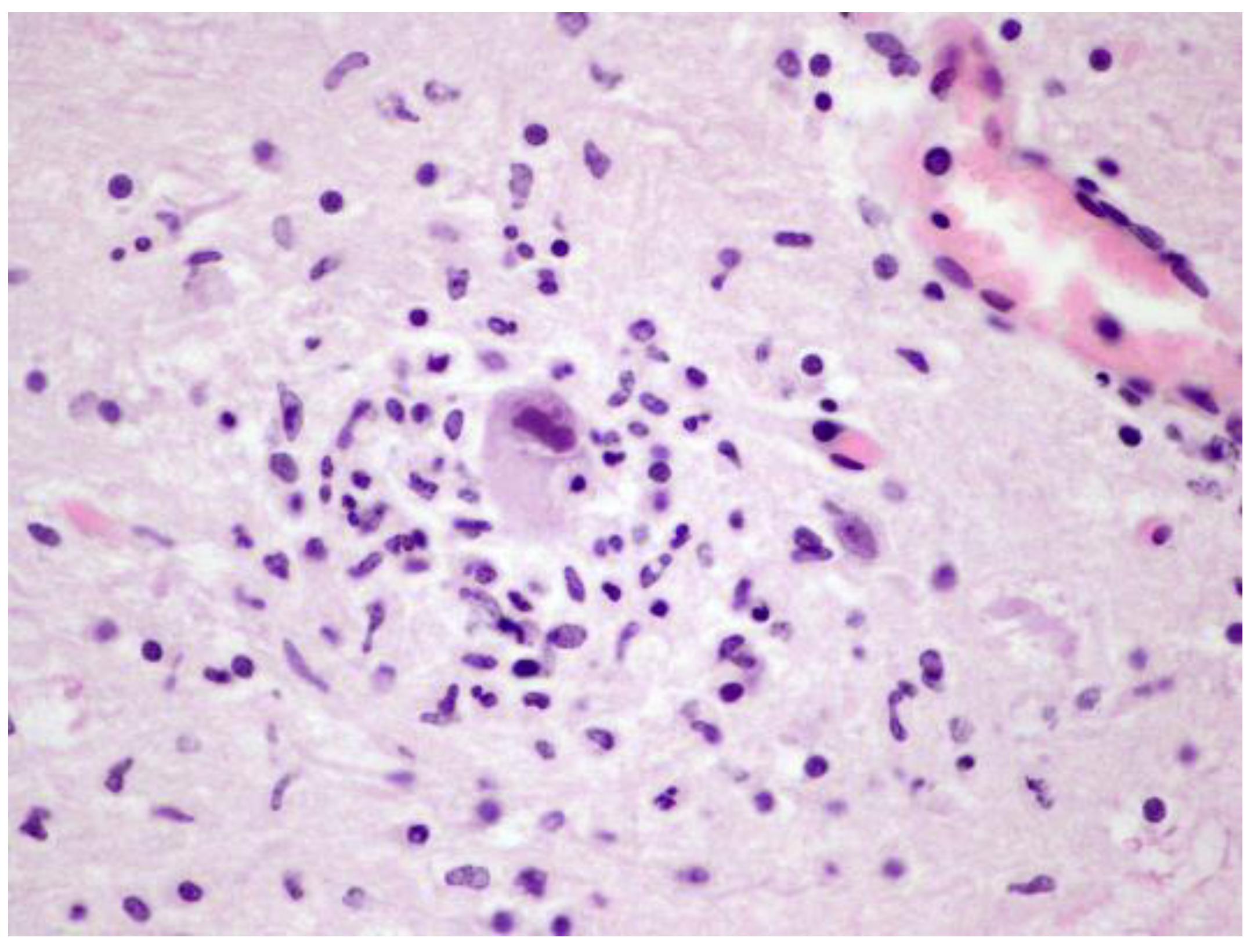 Animals 12 01149 g004