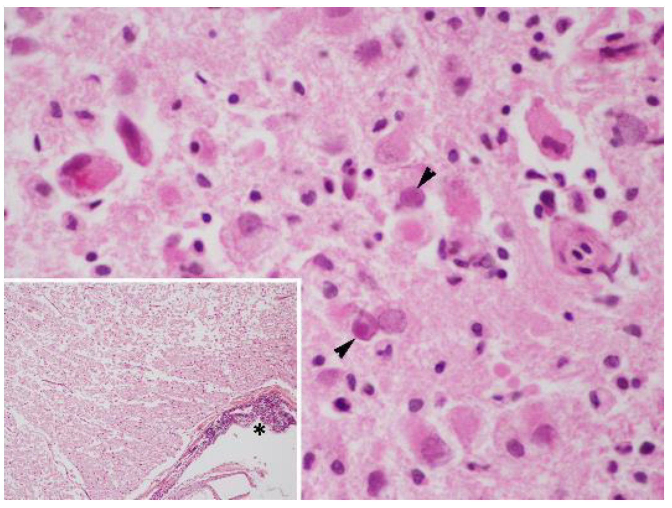 Animals 12 01149 g005