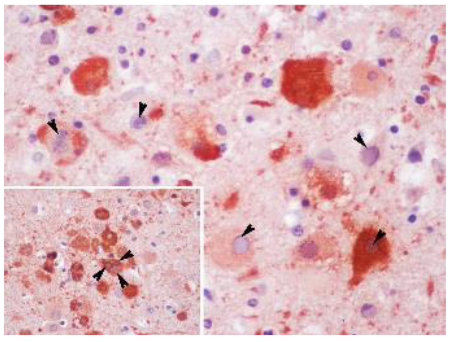 Animals 12 01149 g006