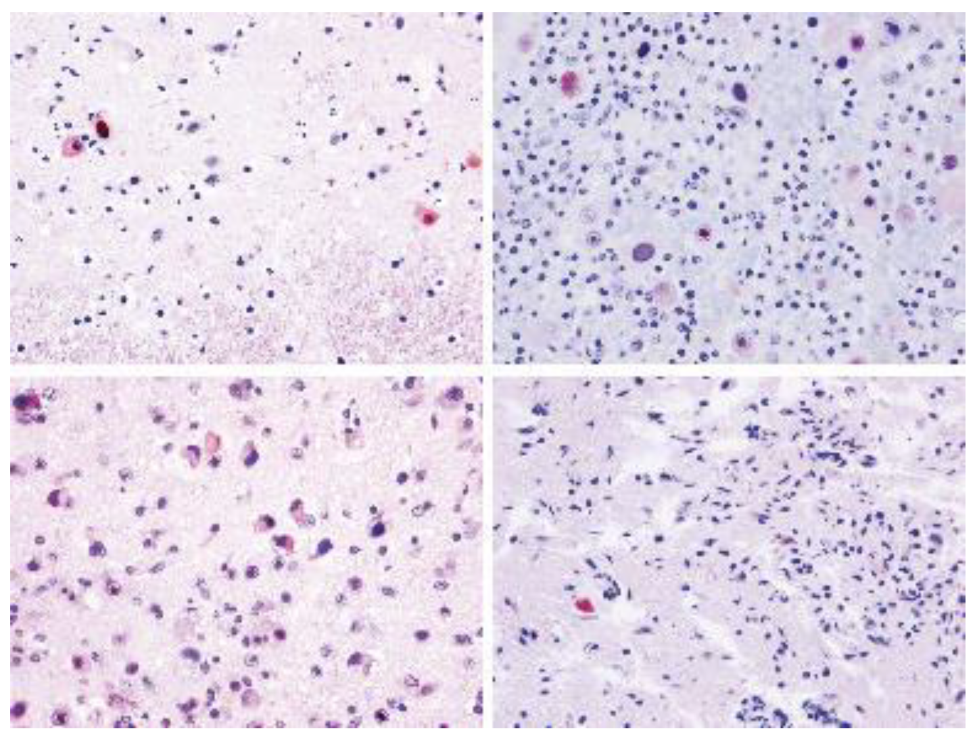 Animals 12 01149 g007