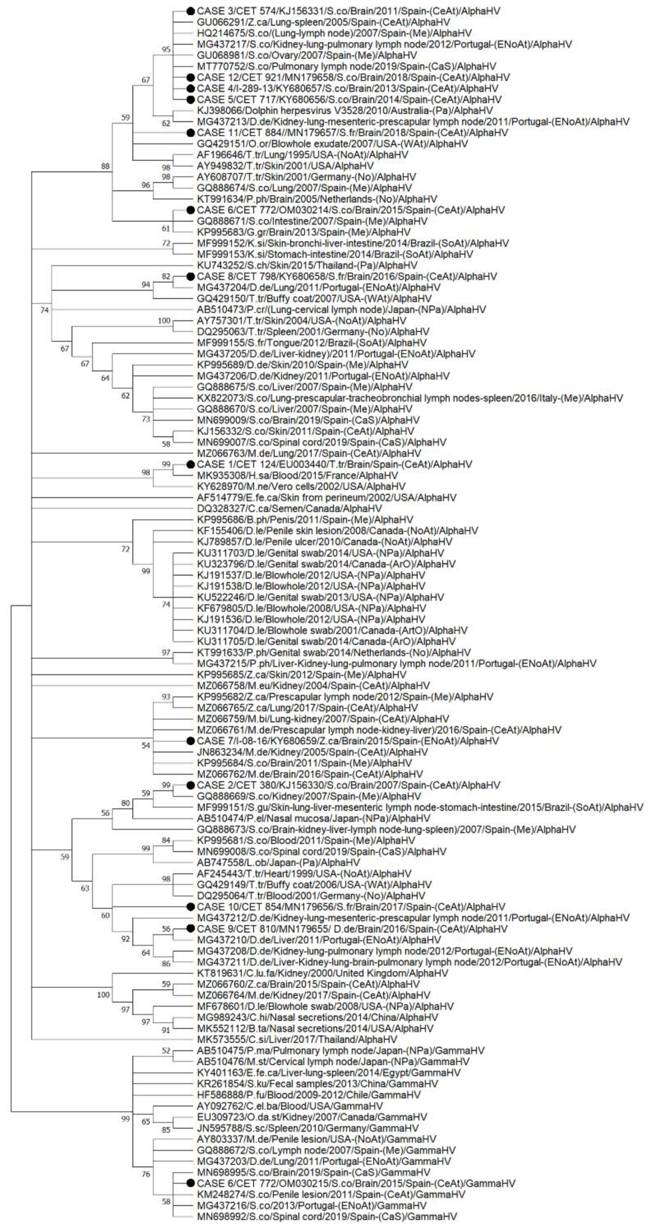 Animals 12 01149 g008