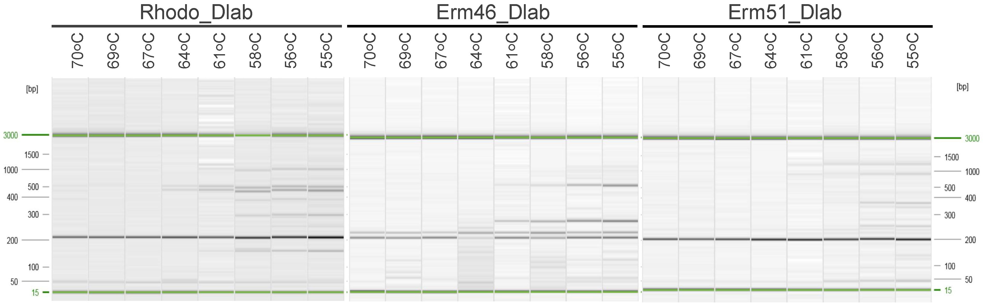 Animals 12 01172 g001