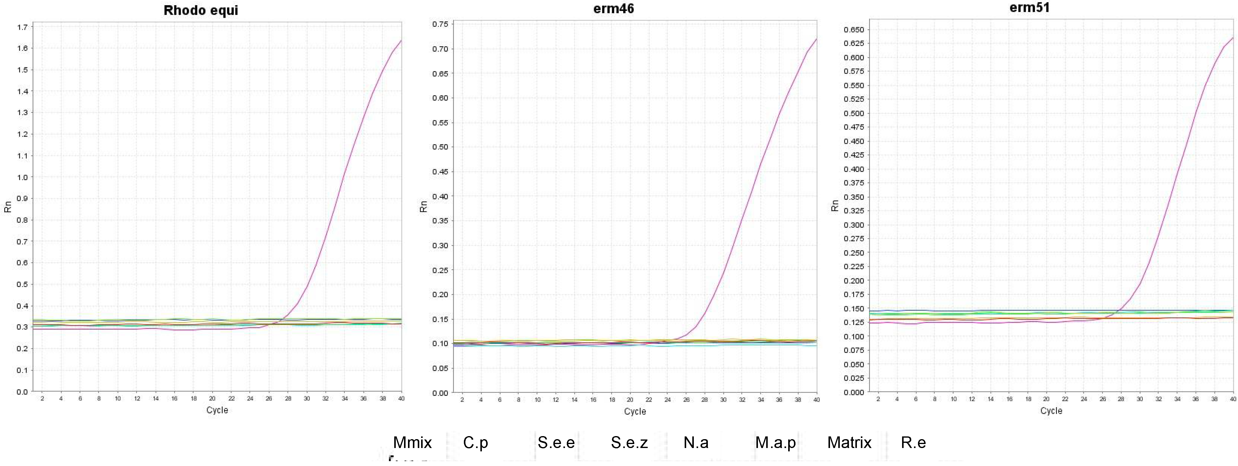 Animals 12 01172 g003
