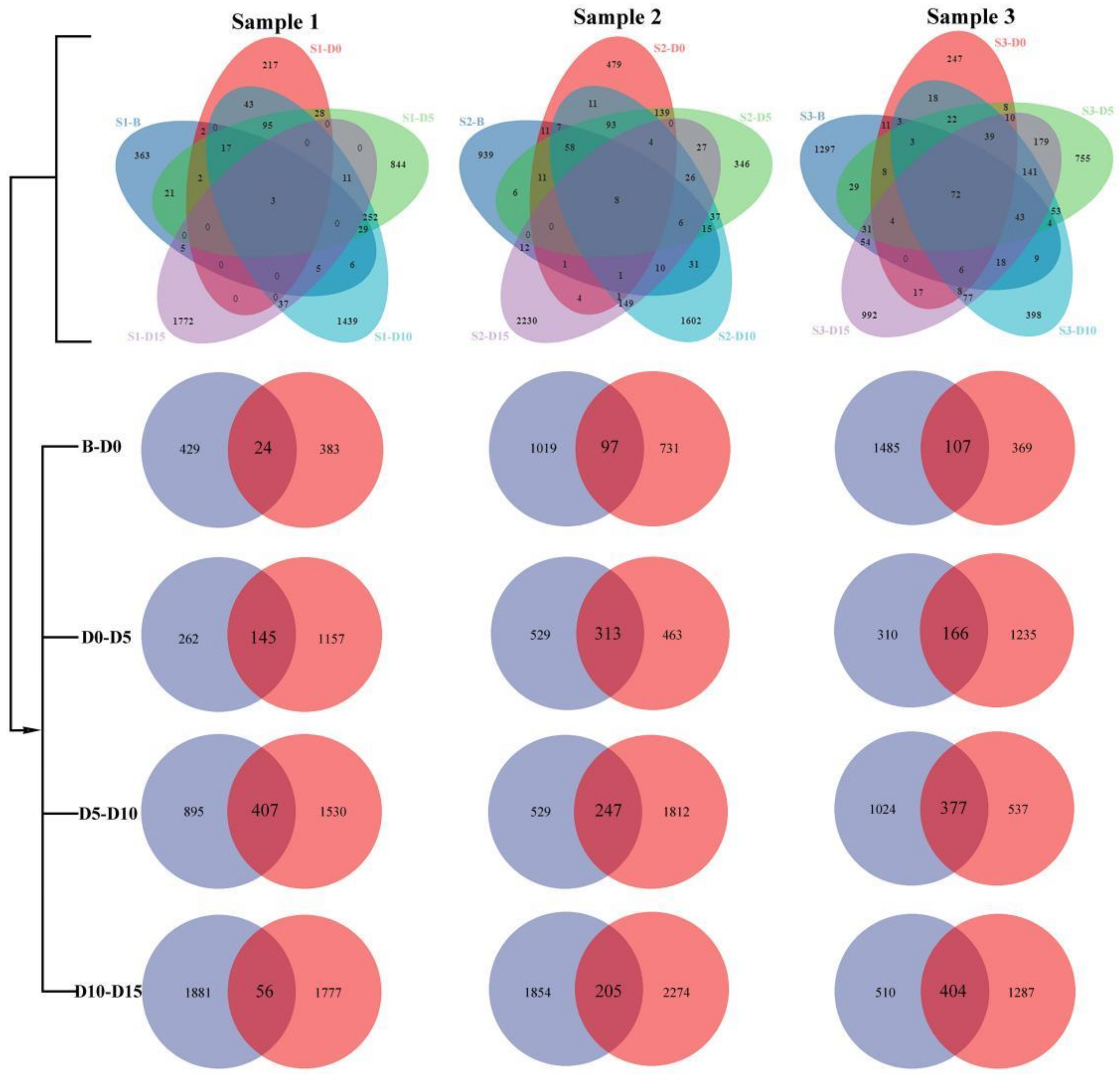 Animals 12 01183 g003