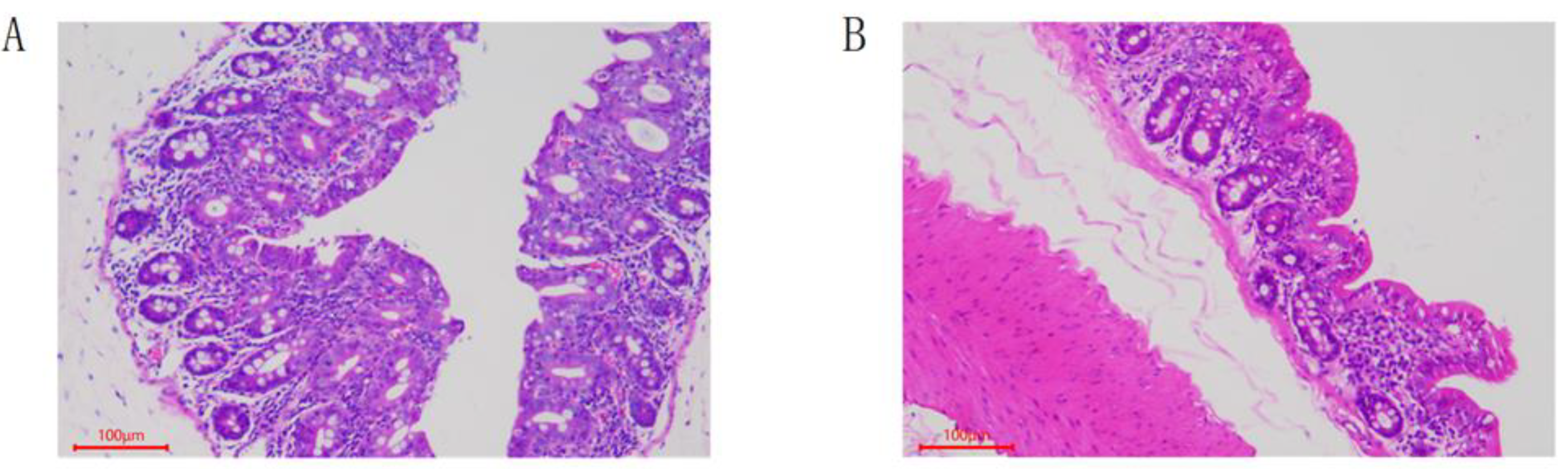 Animals 12 01194 g001