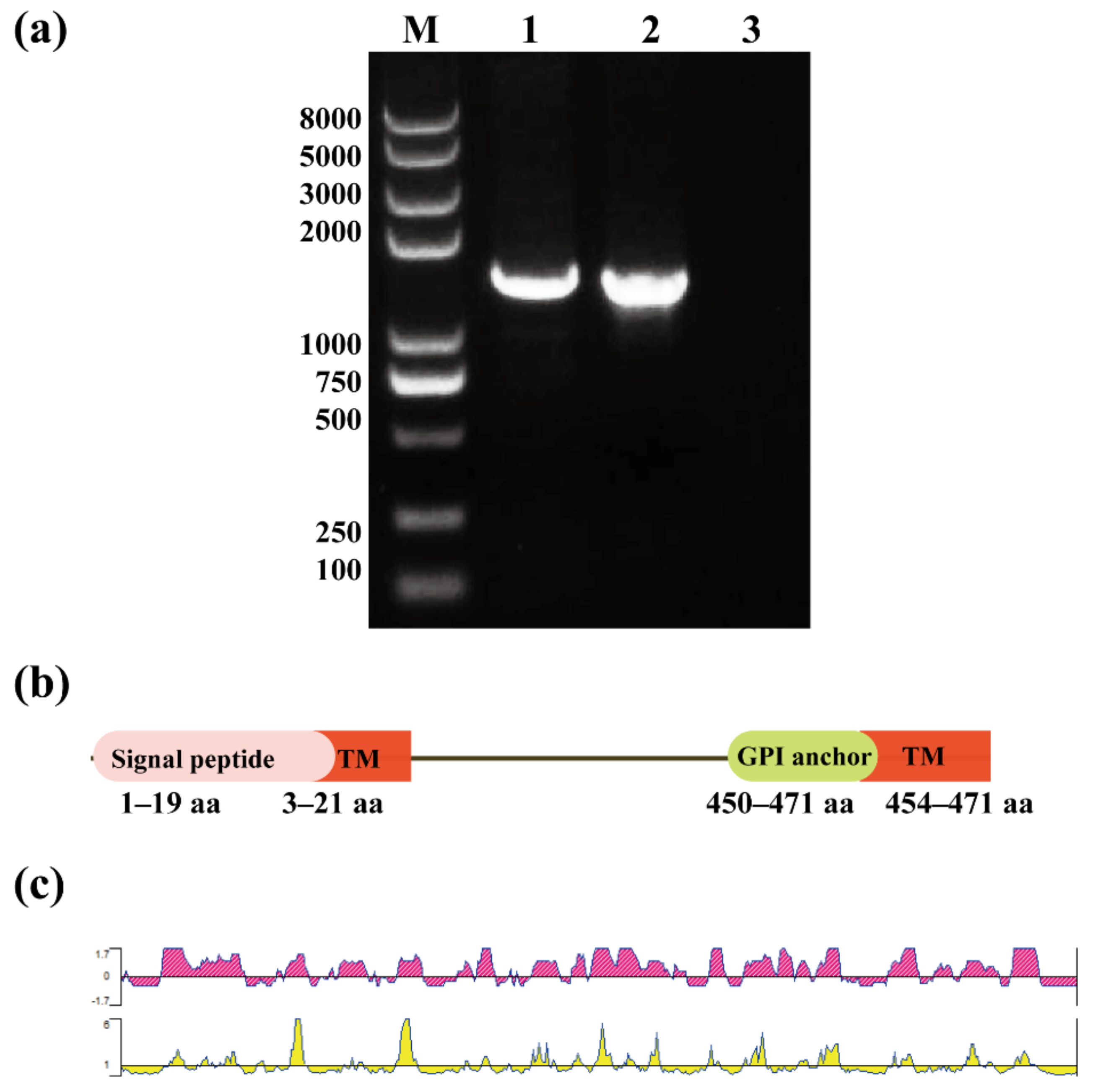 Animals 12 01197 g001