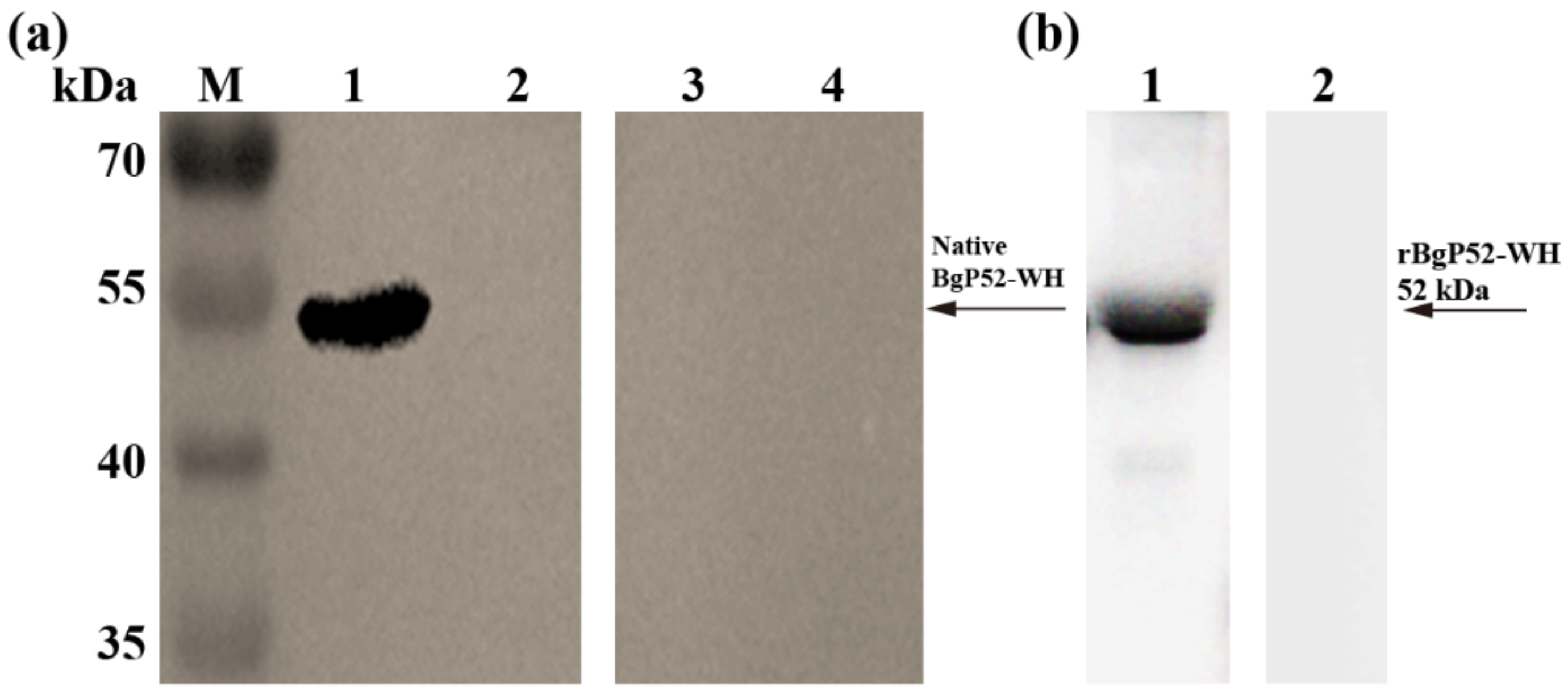 Animals 12 01197 g003