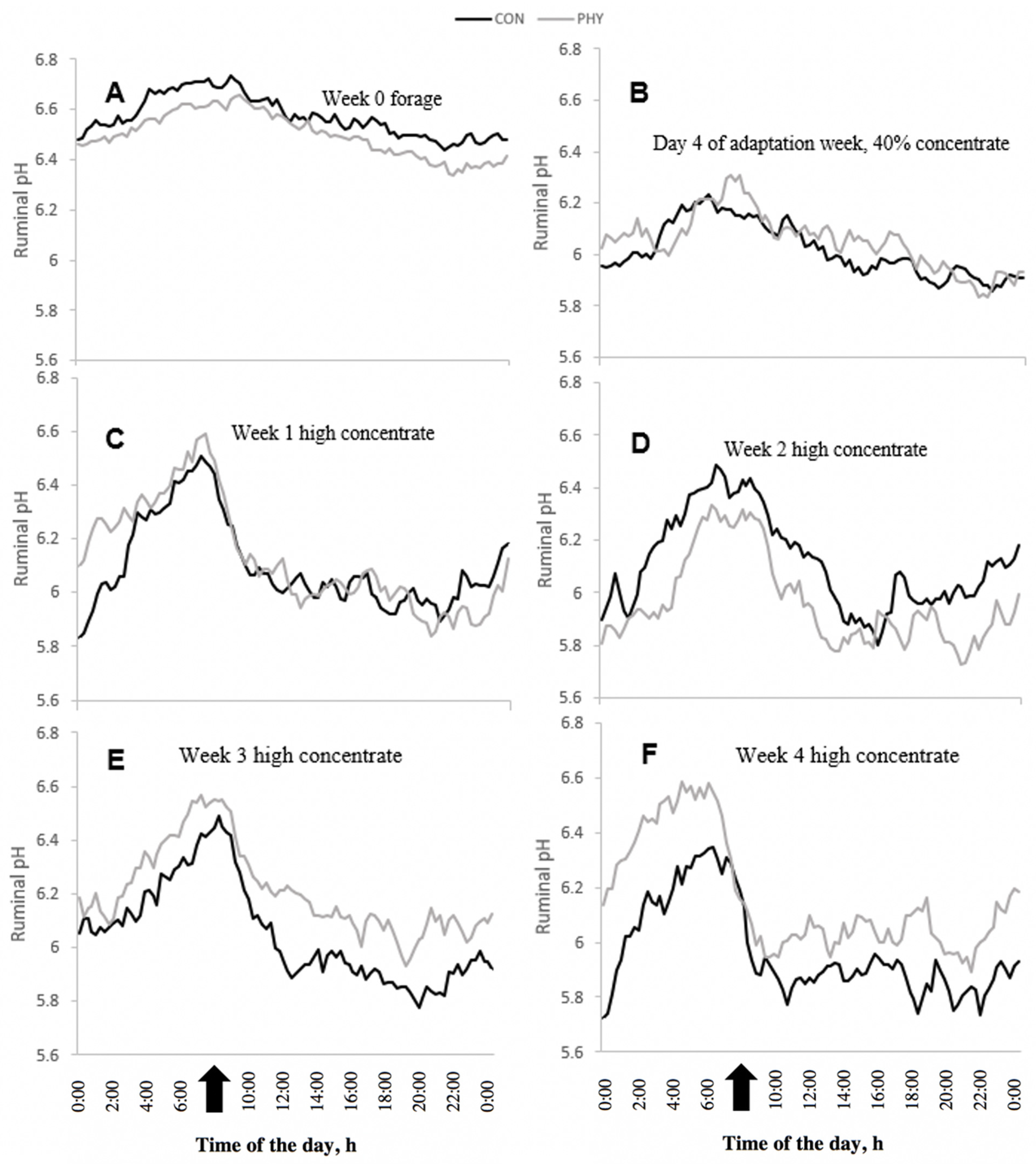 Animals | Free Full-Text | Supplementing a Phytogenic Feed